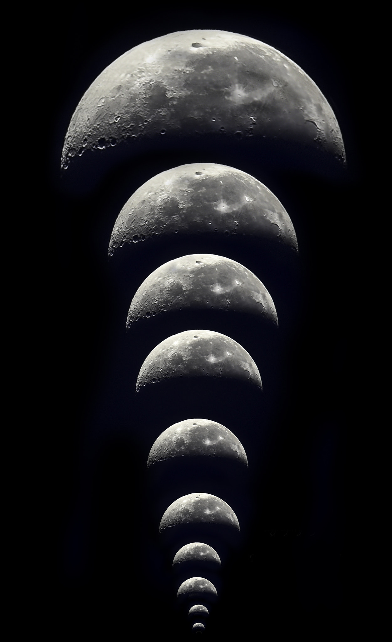 Nikon AF-S Nikkor 200-500mm F5.6E ED VR sample photo. Mushroom photography