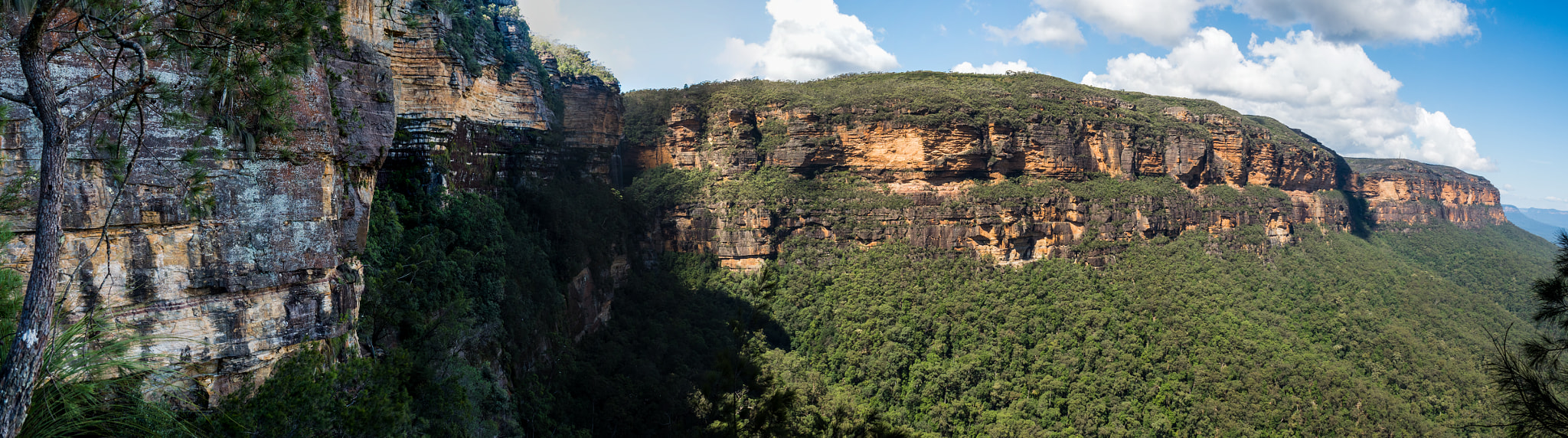 Olympus OM-D E-M5 II sample photo. The blue mountains photography