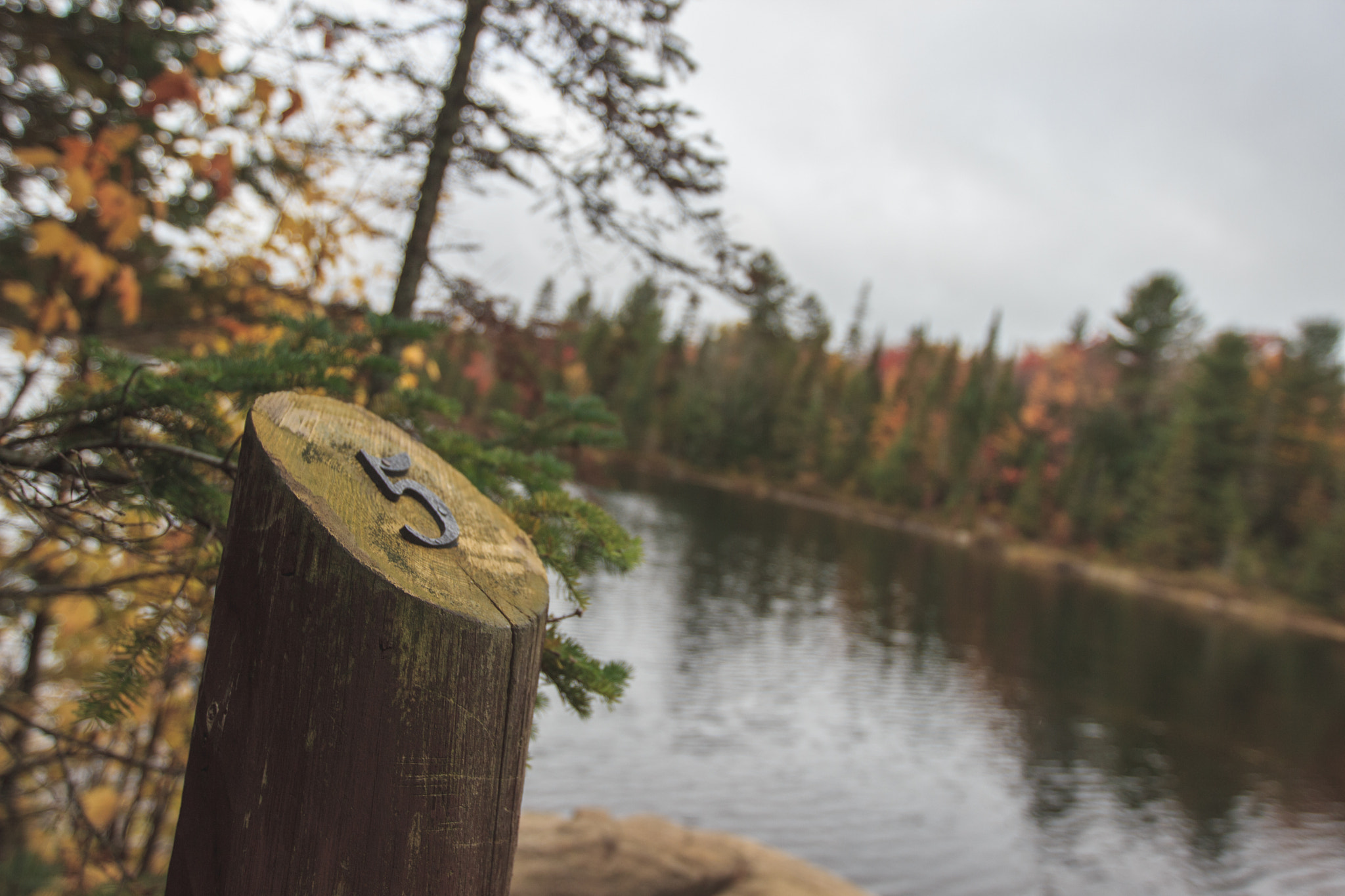 Canon EF 16-35mm F2.8L II USM sample photo. Five photography