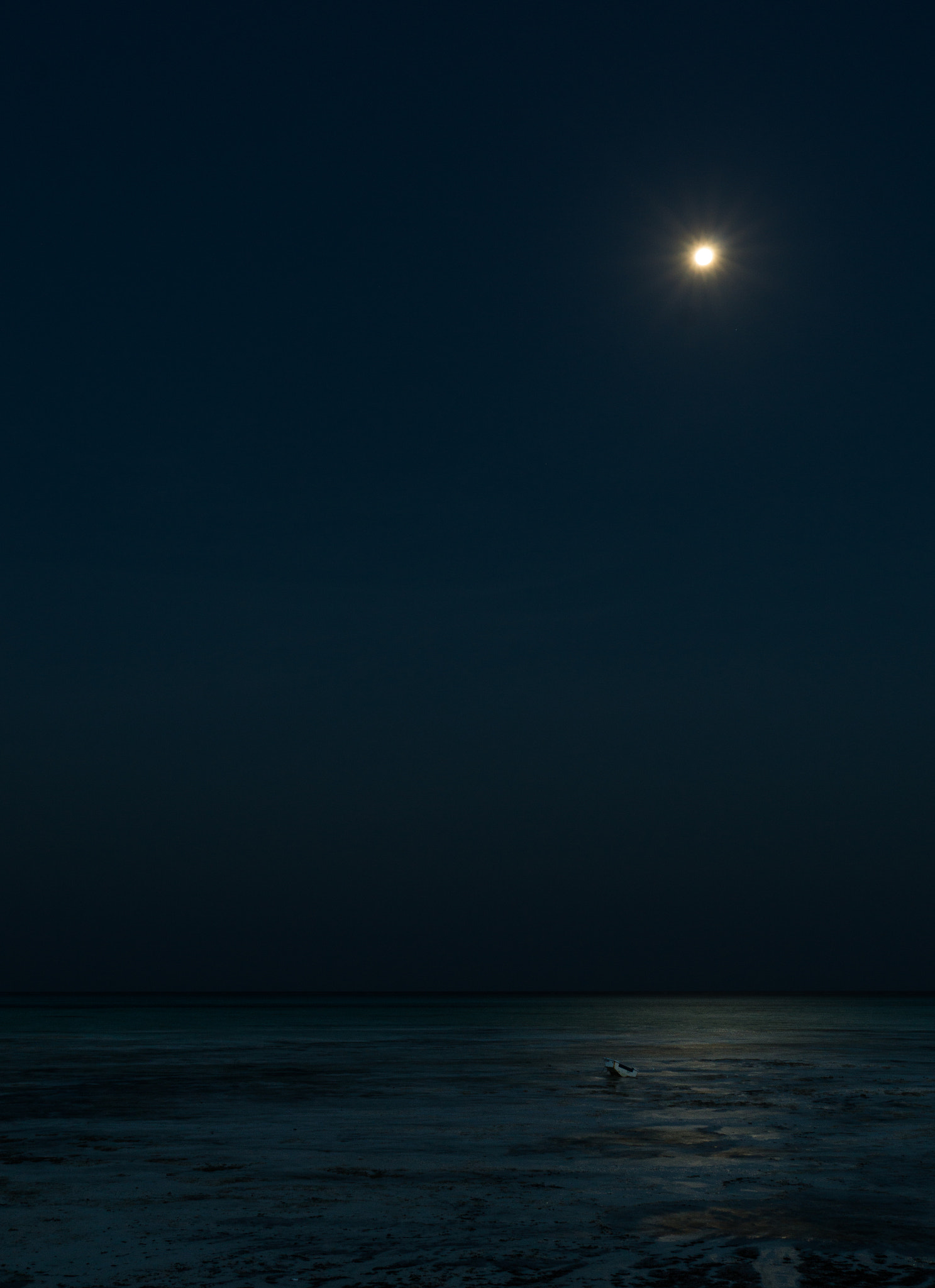 Sony Sonnar T* E 24mm F1.8 ZA sample photo. Moon bridge photography