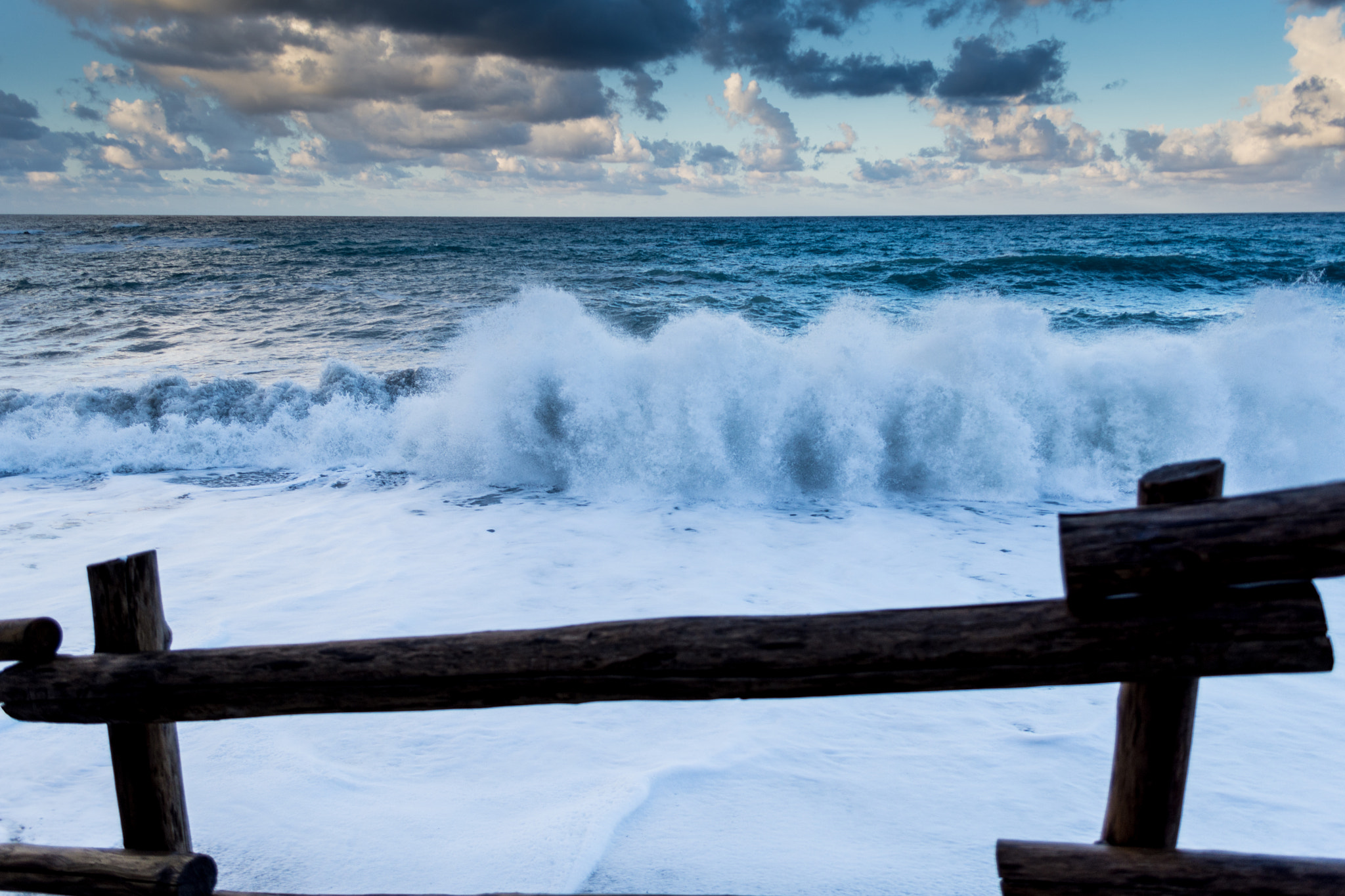 Nikon D7200 sample photo. Behind the fence photography
