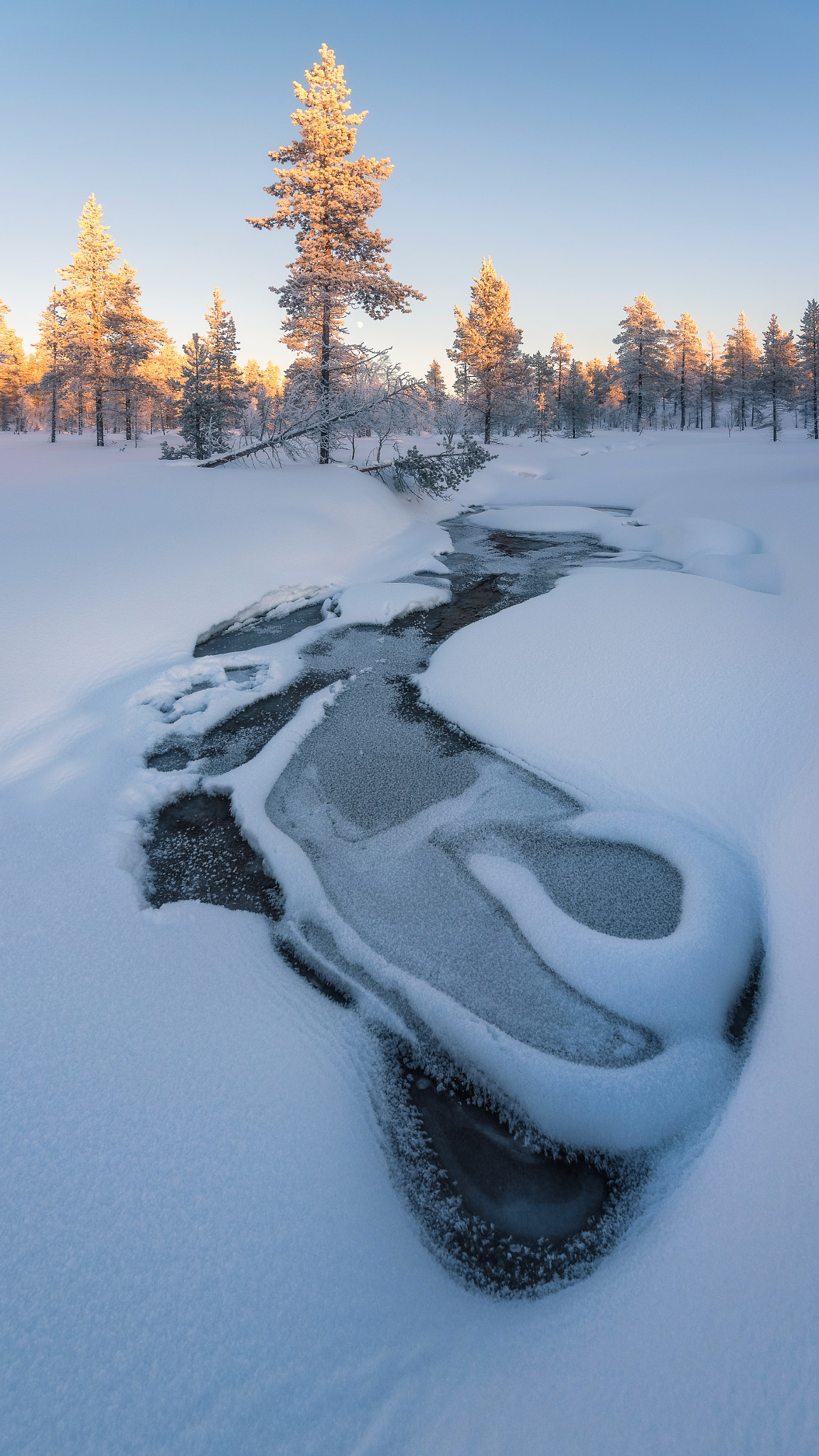 Nikon D750 + Nikon AF-S Nikkor 16-35mm F4G ED VR sample photo. Frozen photography