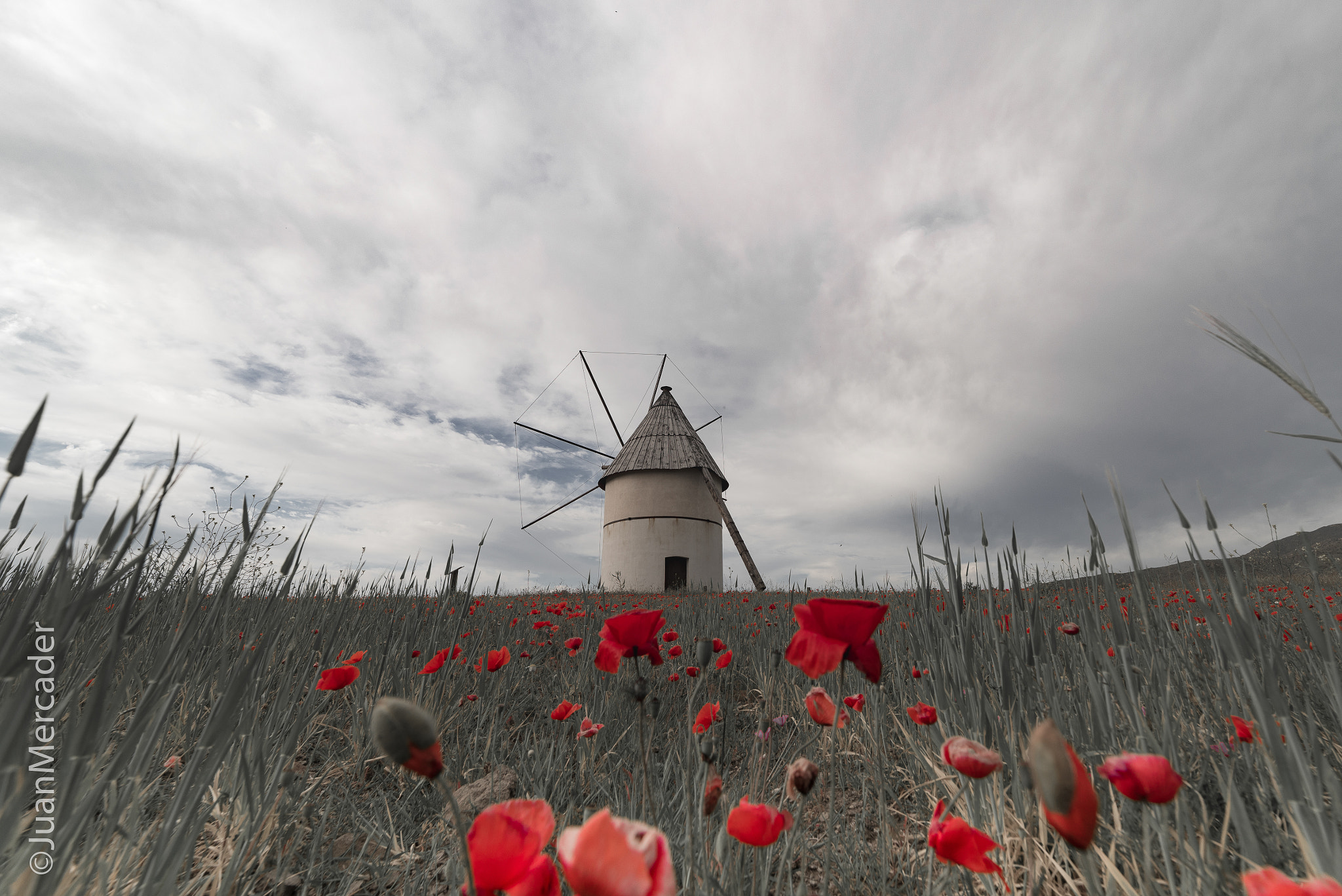 Samyang 14mm F2.8 ED AS IF UMC sample photo. Primavera en cabo de gata photography