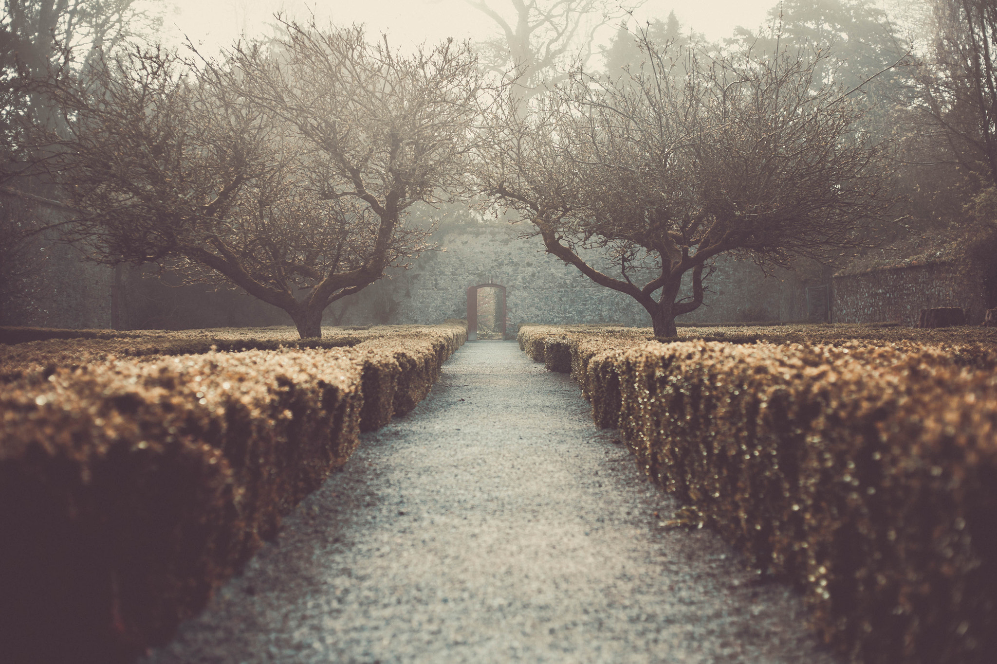 Canon EOS 5D + Canon EF 50mm F1.8 II sample photo. Heaven or hell photography