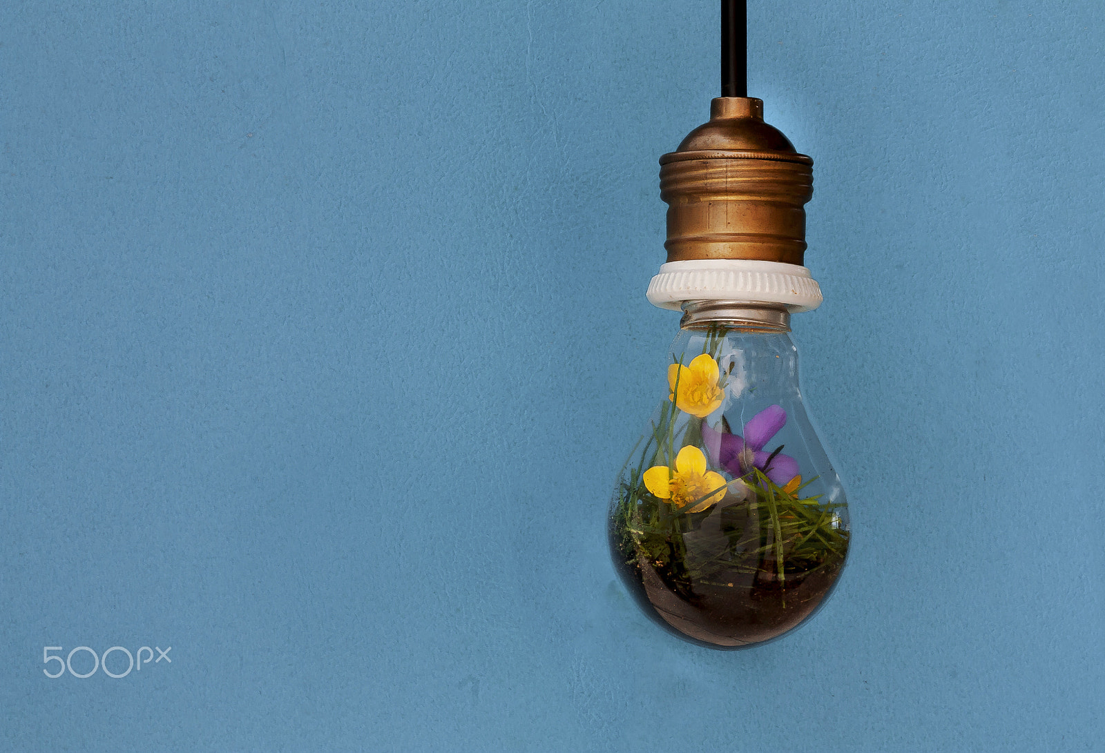 Sigma 105mm F2.8 EX DG OS HSM sample photo. Earth in a light bulb photography