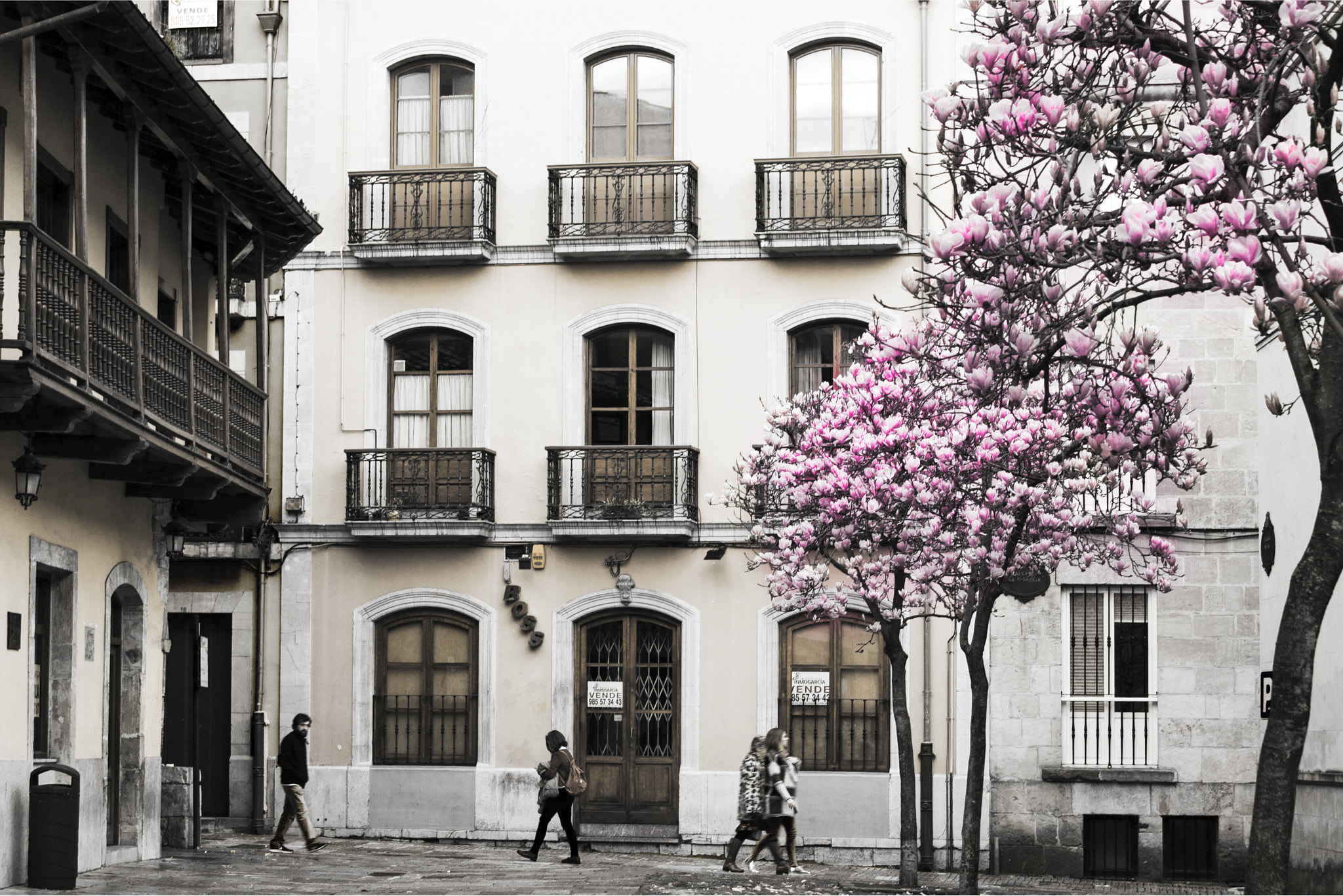 Canon EOS 5D Mark II + Canon EF 70-200mm F2.8L USM sample photo. Avilés, sol street in springtime photography