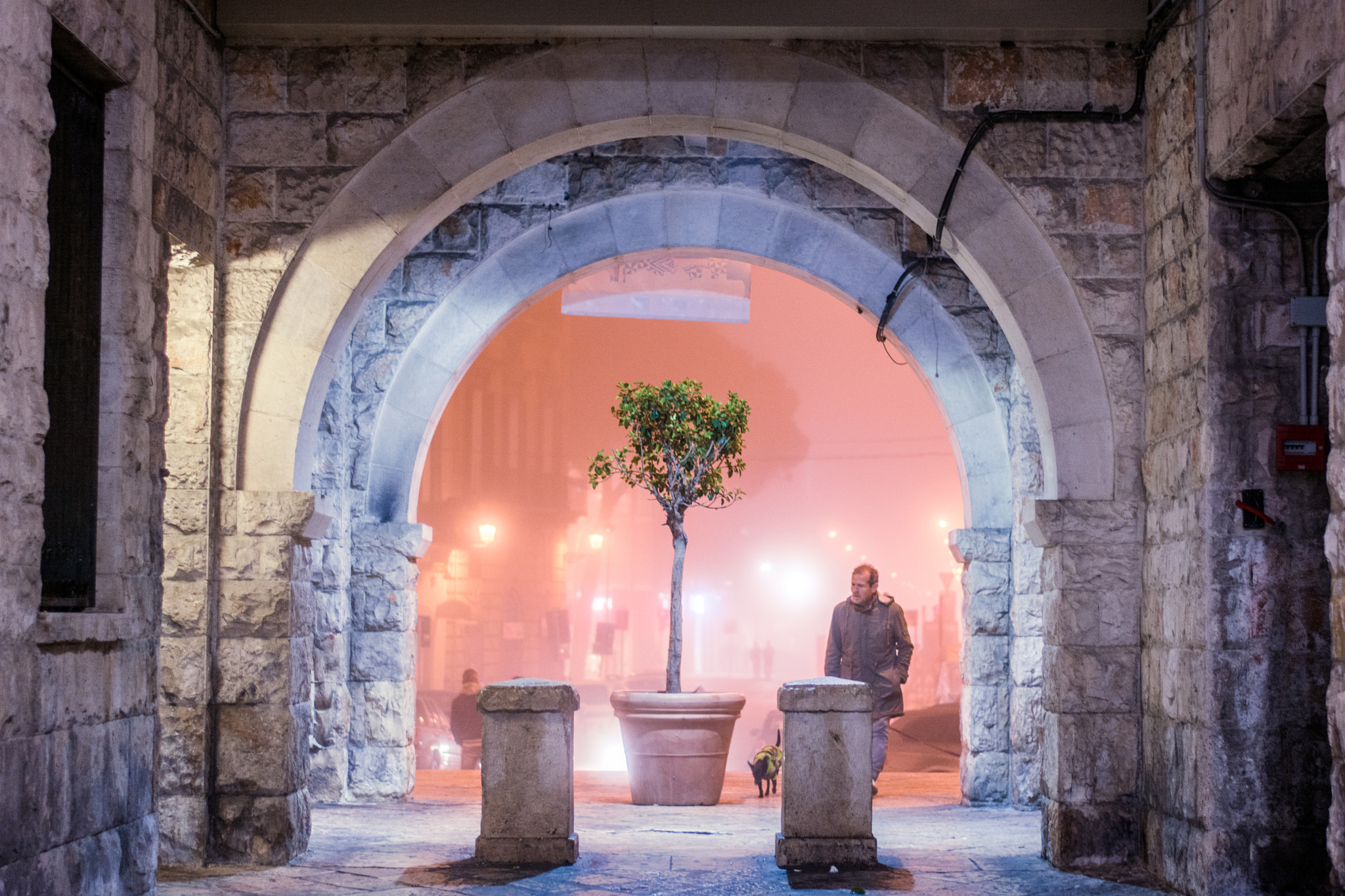 Nikon D5200 + Nikon AF-S Nikkor 50mm F1.8G sample photo. Bari veccia photography