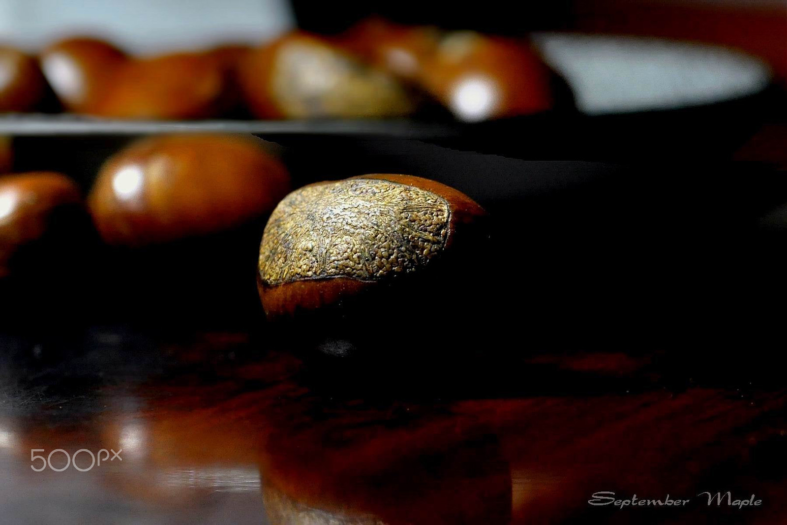 Nikon D90 + Nikon AF Nikkor 50mm F1.8D sample photo. 迁西板栗 photography