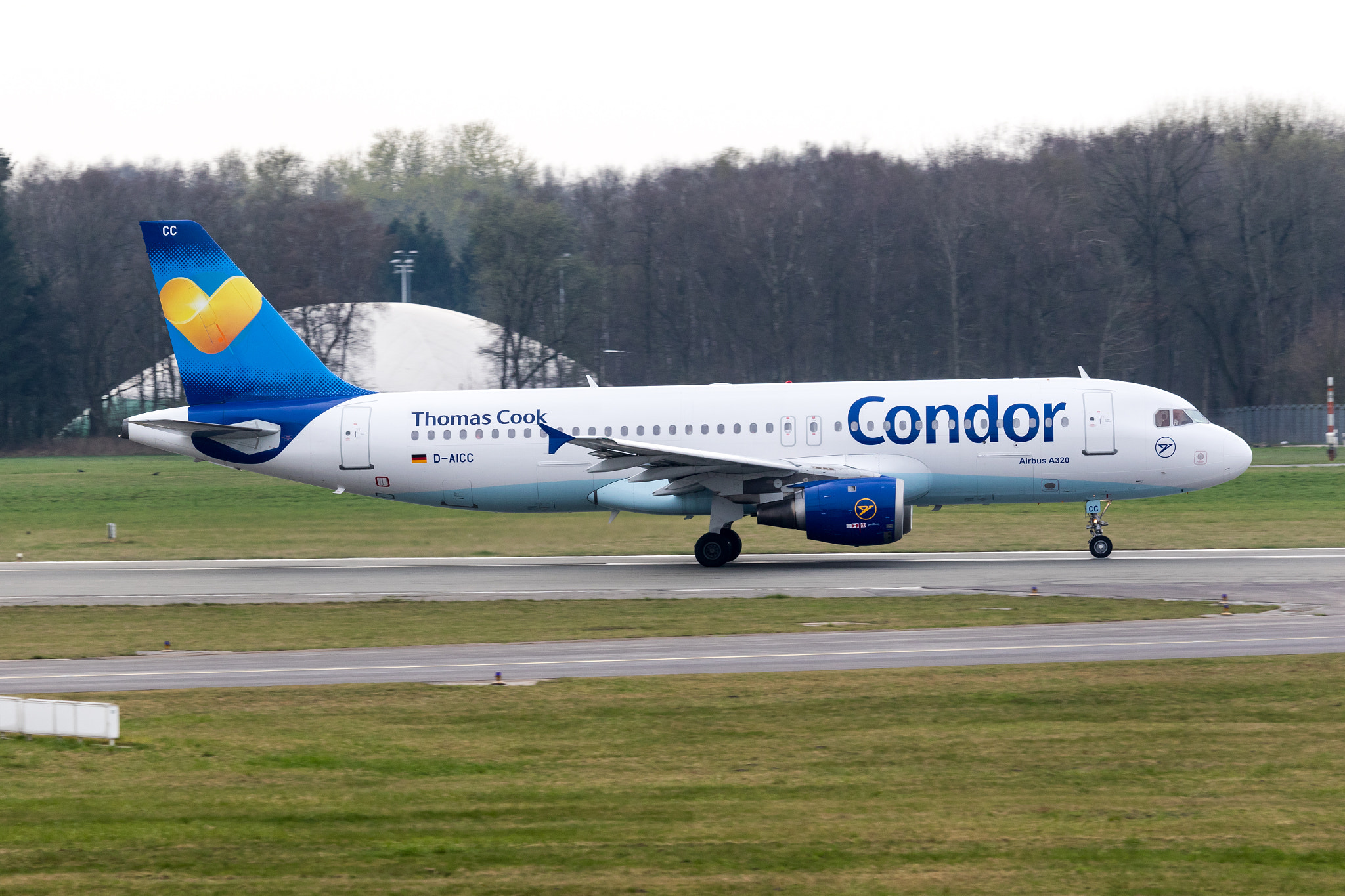 Canon EF-S 55-250mm F4-5.6 IS STM sample photo. Condor d-aicc photography