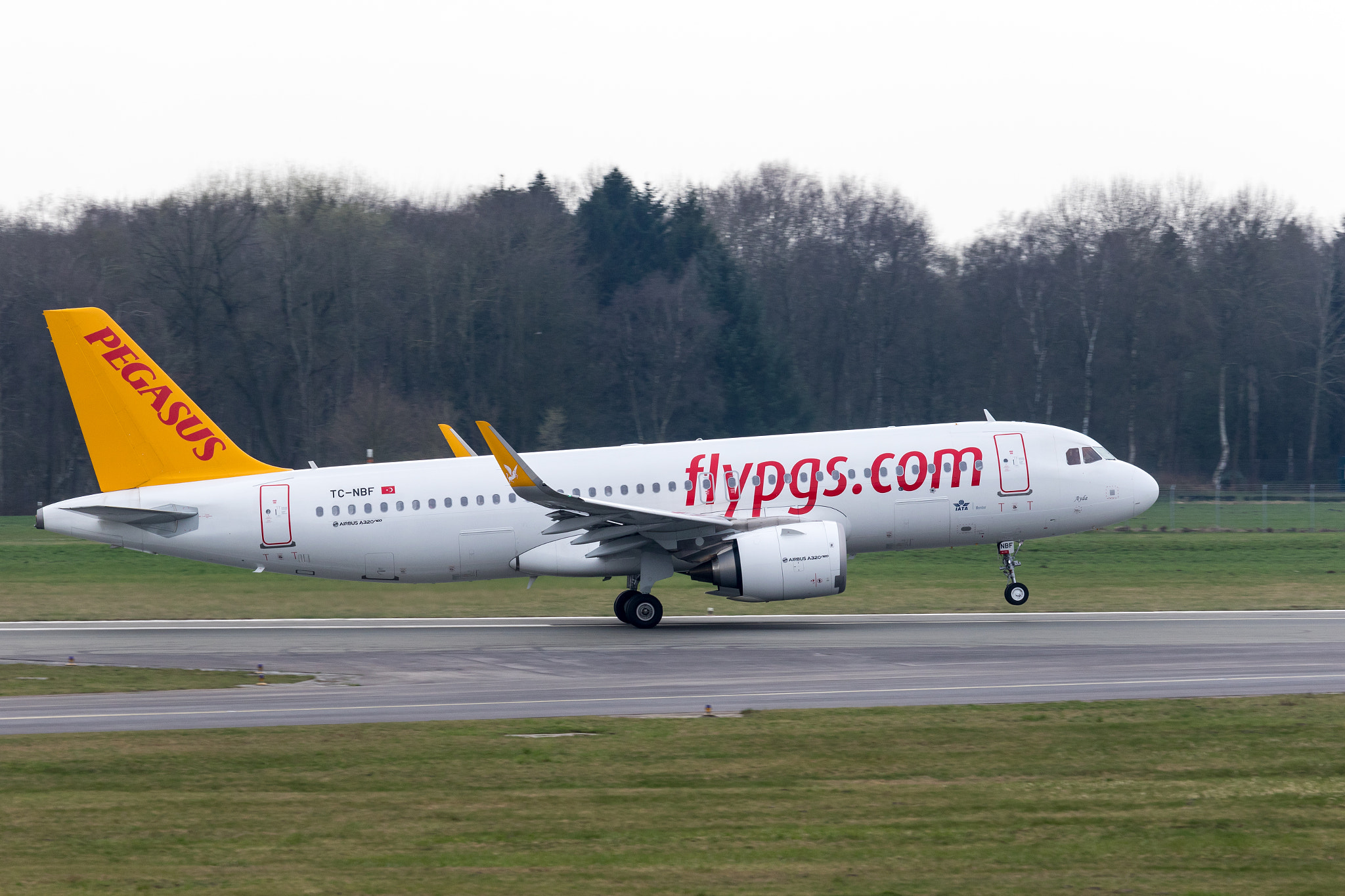 Canon EF-S 55-250mm F4-5.6 IS STM sample photo. Pegasus a320neo tc-nbf photography