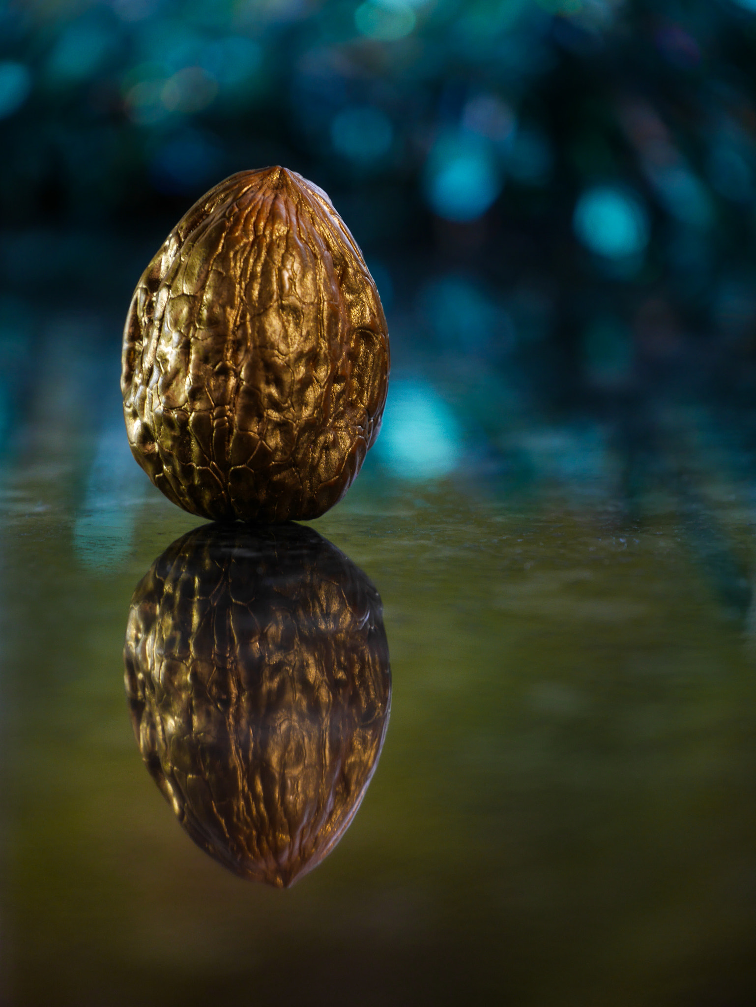 Panasonic Lumix DMC-GX7 sample photo. Golden nut on granite photography