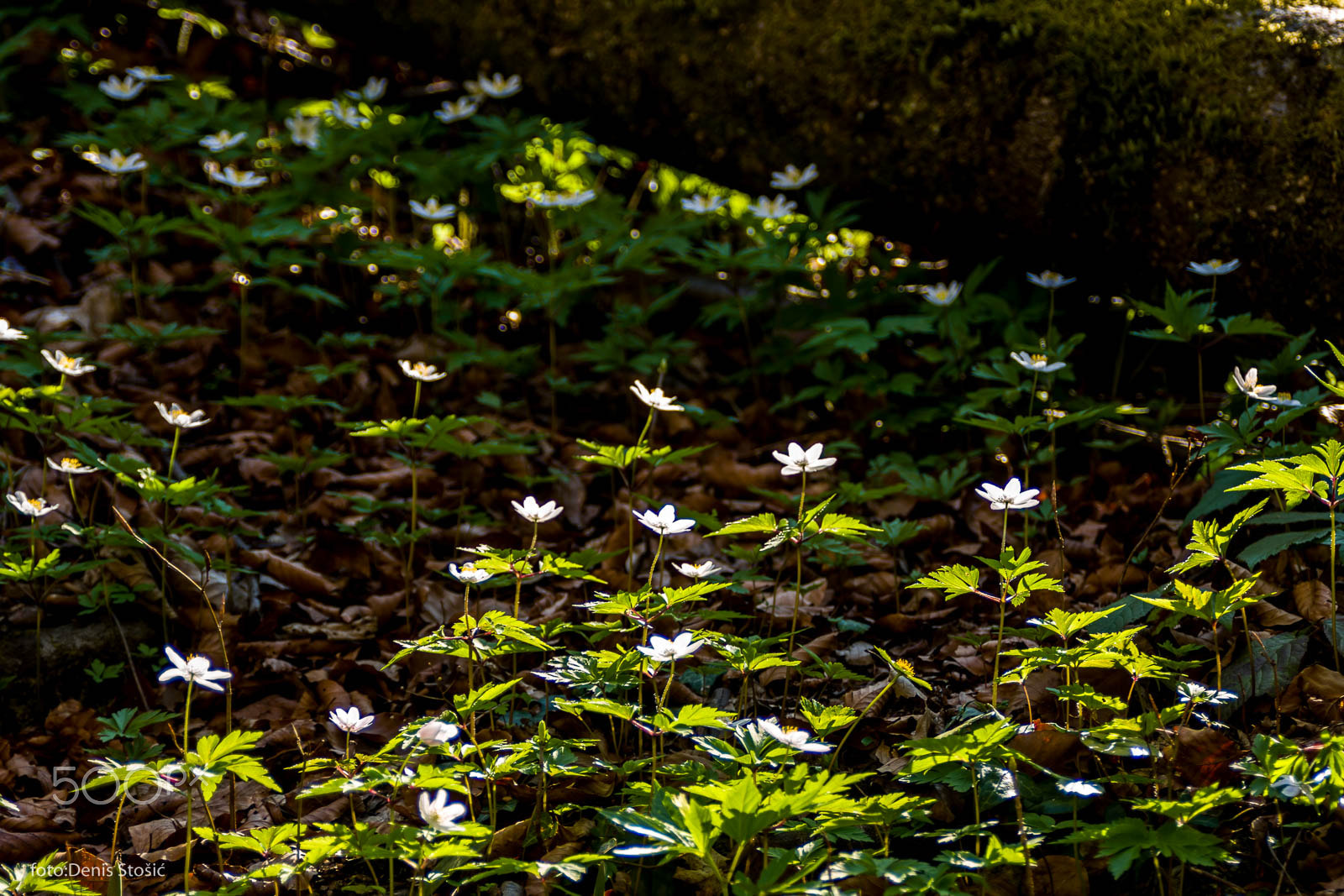 AF Zoom-Nikkor 28-105mm f/3.5-4.5D IF sample photo. Kamacnik pass photography