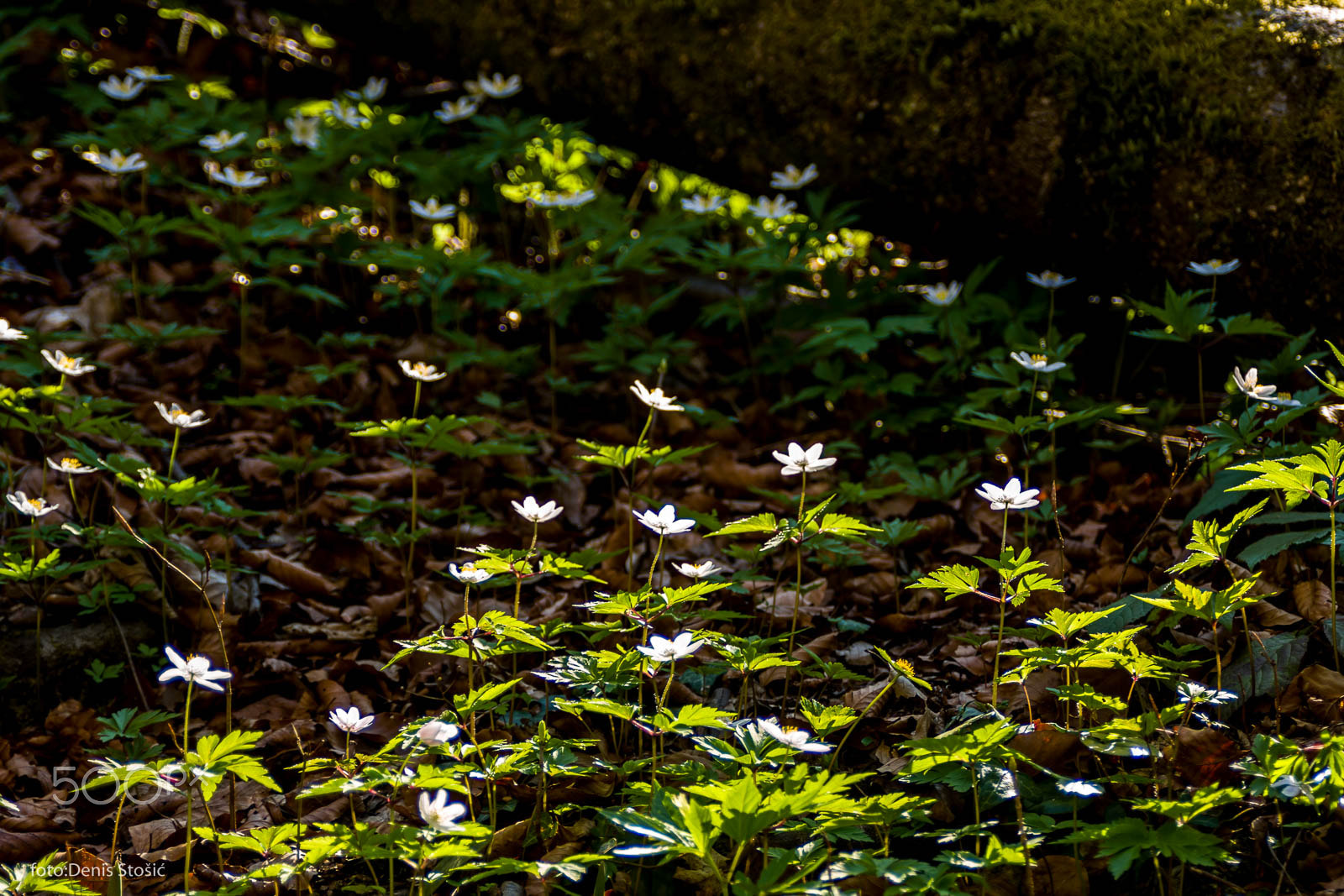 Nikon D7100 + AF Zoom-Nikkor 28-105mm f/3.5-4.5D IF sample photo. Kamacnik pass photography