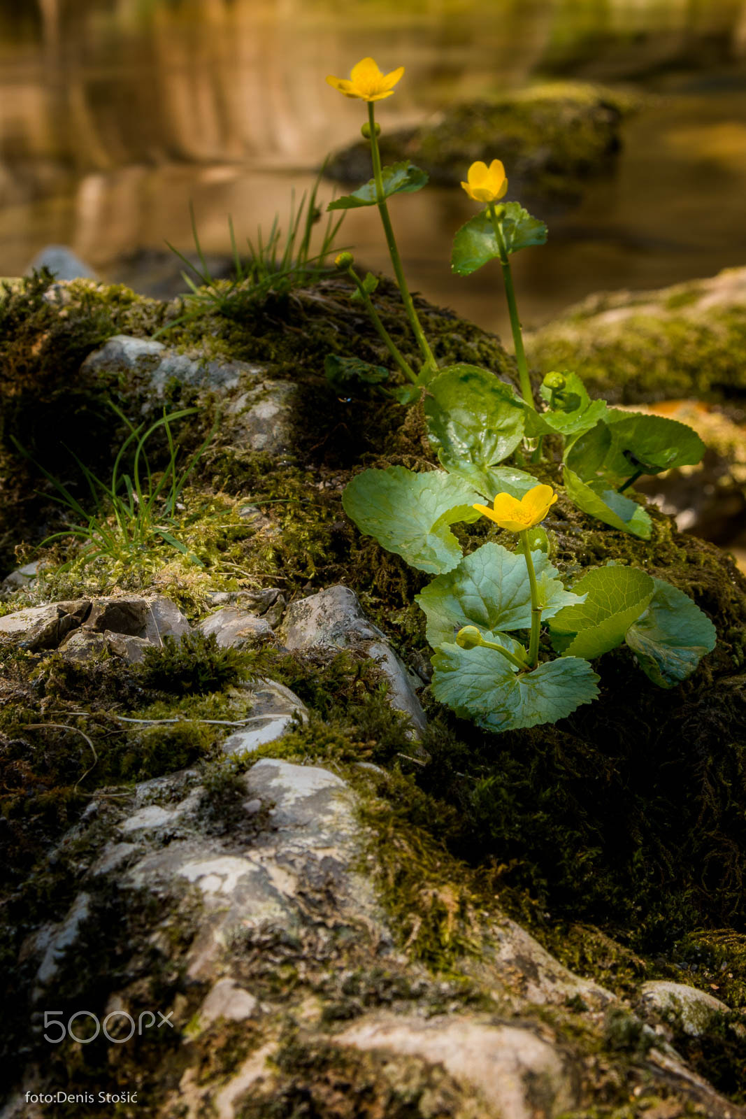 AF Zoom-Nikkor 28-105mm f/3.5-4.5D IF sample photo. Kamacnik pass photography