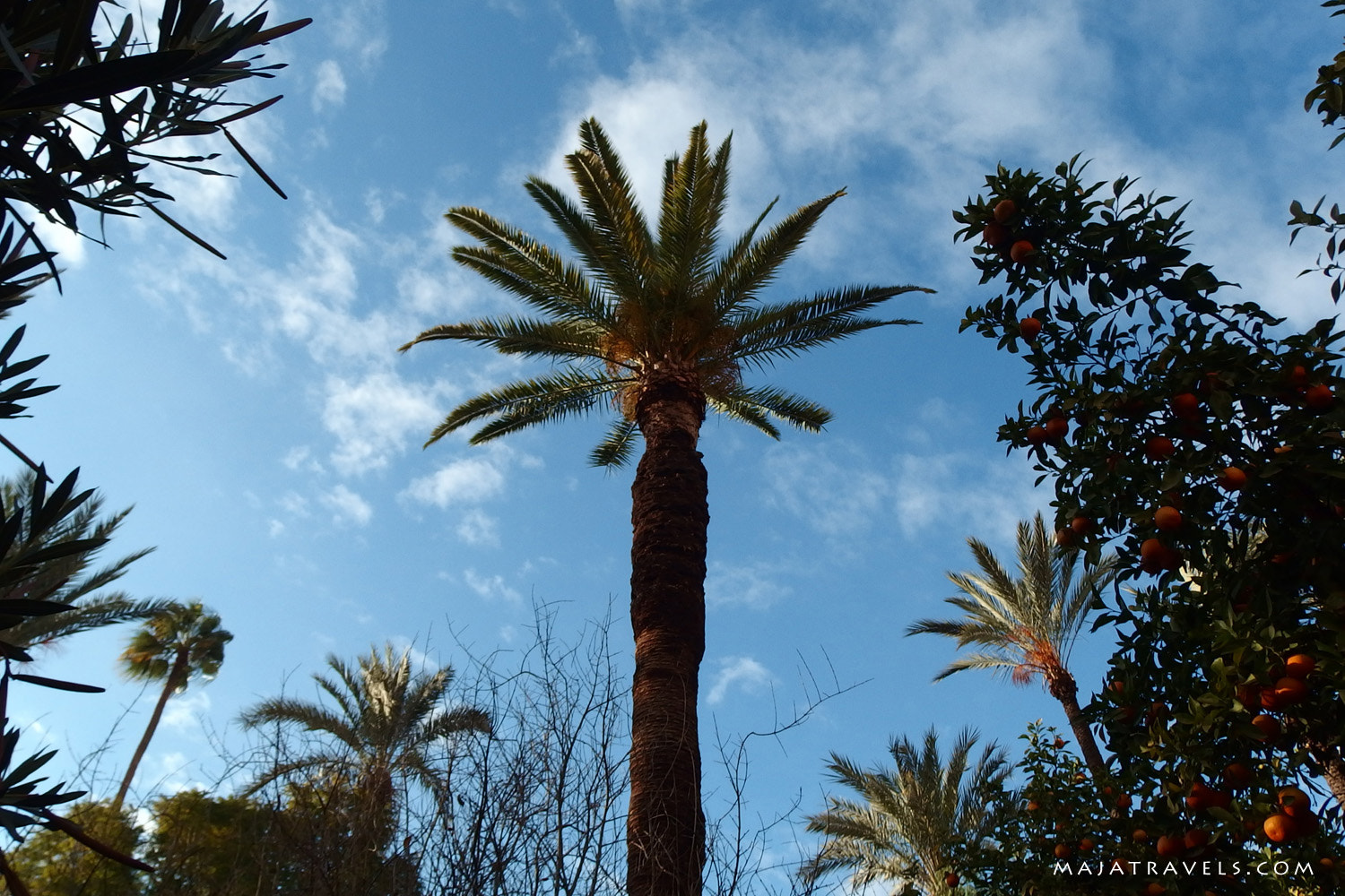 Olympus Stylus XZ-10 sample photo. Marrakech in morocco photography
