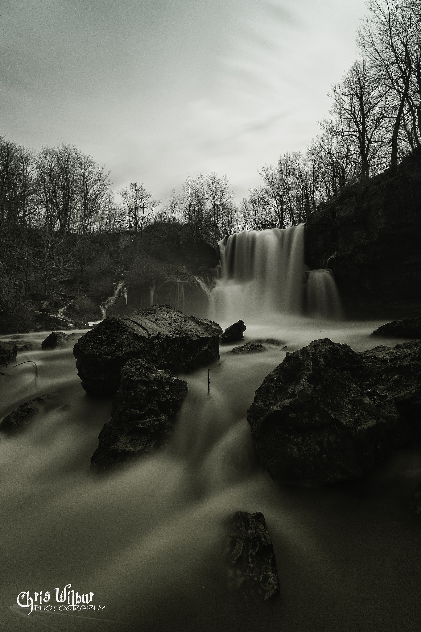 Canon EF 16-35mm F2.8L II USM sample photo. Out like a lion photography