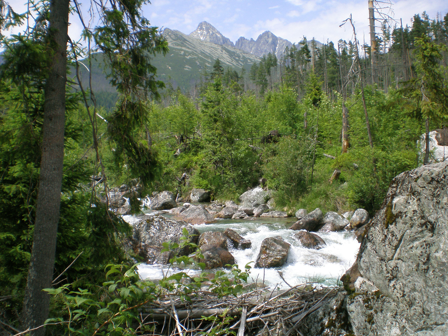 Olympus FE190/X750 sample photo. Tatra national park photography