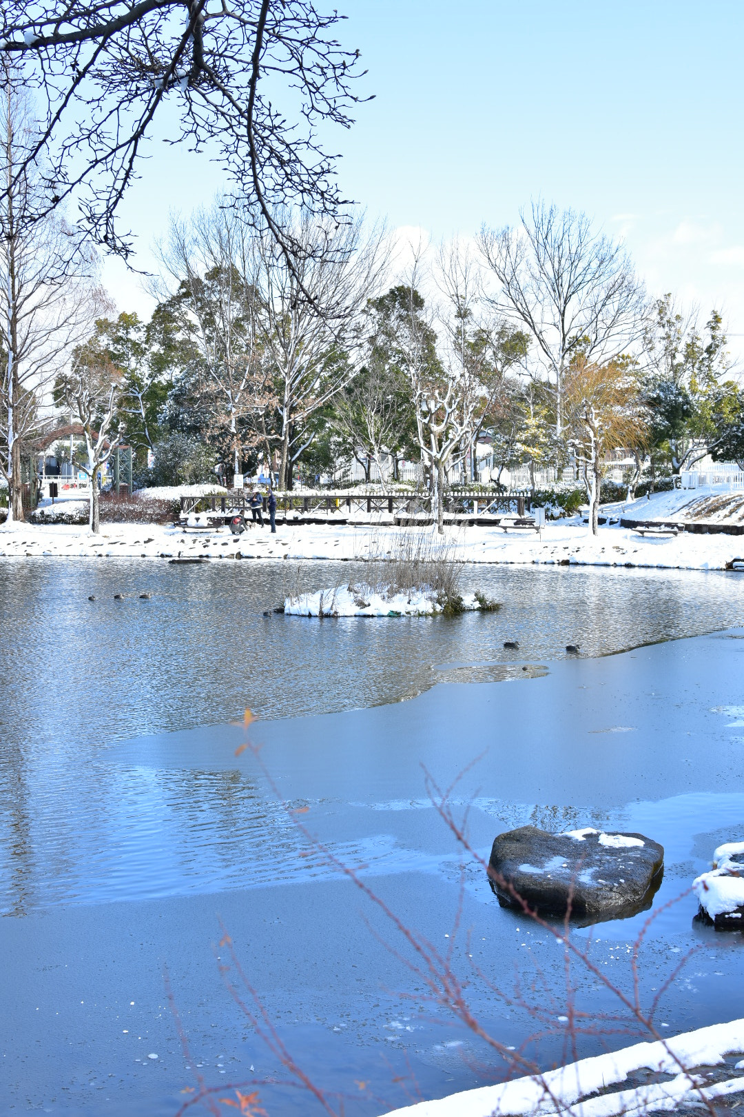 Nikon AF-S DX Nikkor 35mm F1.8G sample photo. Lake frozen  photography