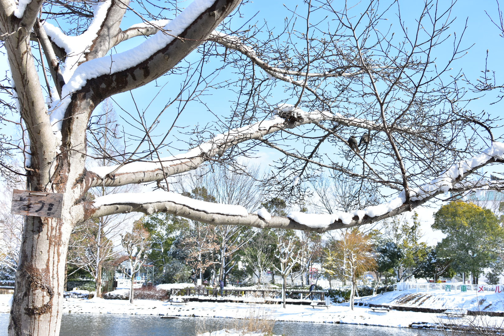 Nikon AF-S DX Nikkor 35mm F1.8G sample photo. Landscape  photography