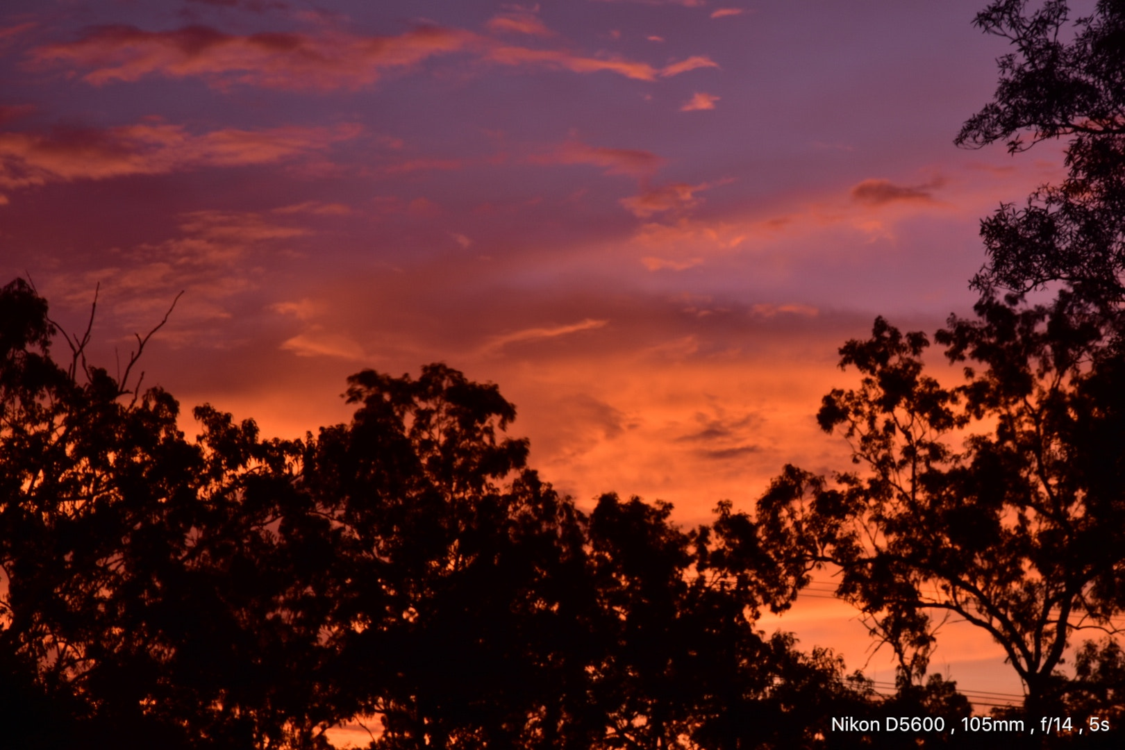 Nikon D5600 sample photo. Same view new yet again photography