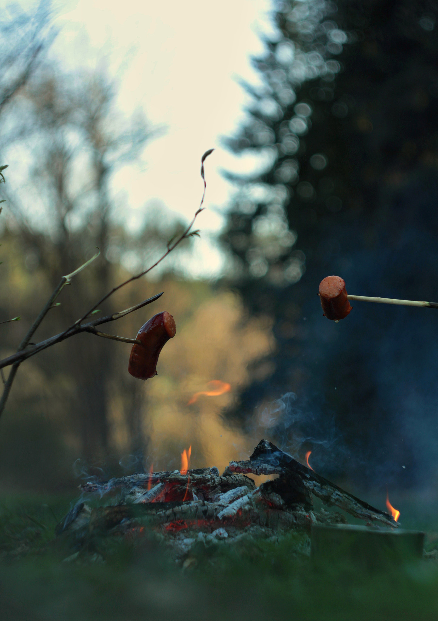 Canon EF 35-80mm f/4-5.6 sample photo. Dinner in nature photography