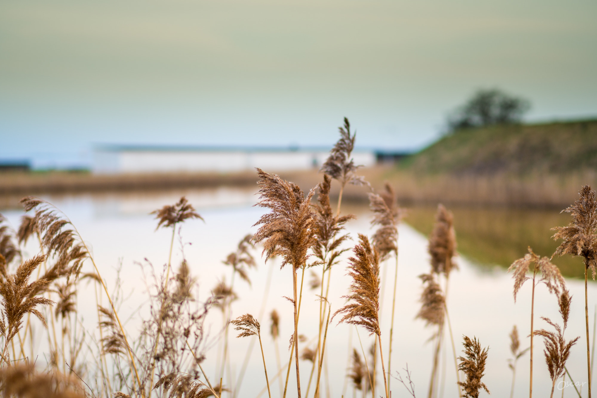 Sony a6300 sample photo. Hellerup - copenhagen - denmark - spring 2017 photography