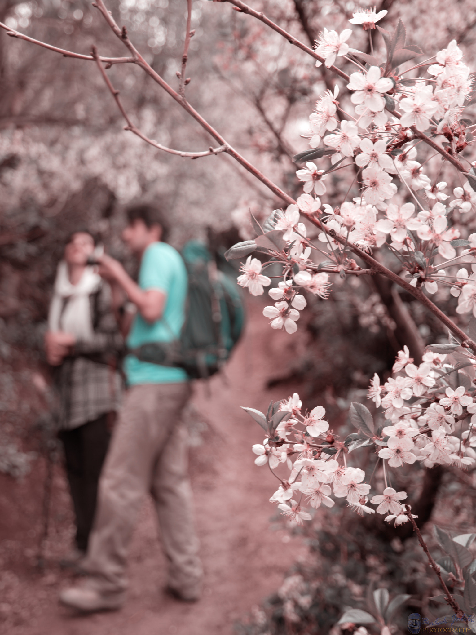 Nikon D7100 sample photo. 13 photography