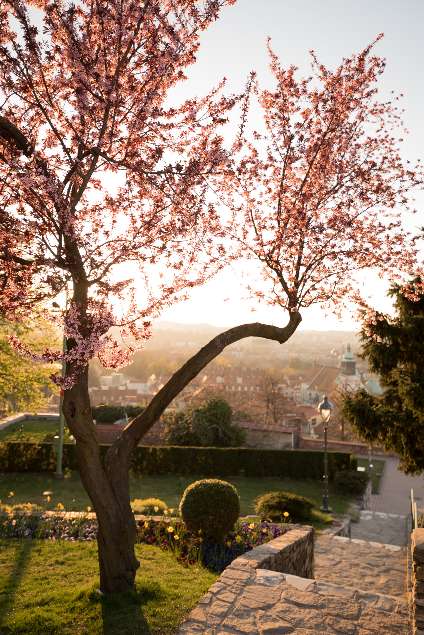 Nikon D750 + Tamron SP 15-30mm F2.8 Di VC USD sample photo. Old town on a young morning photography