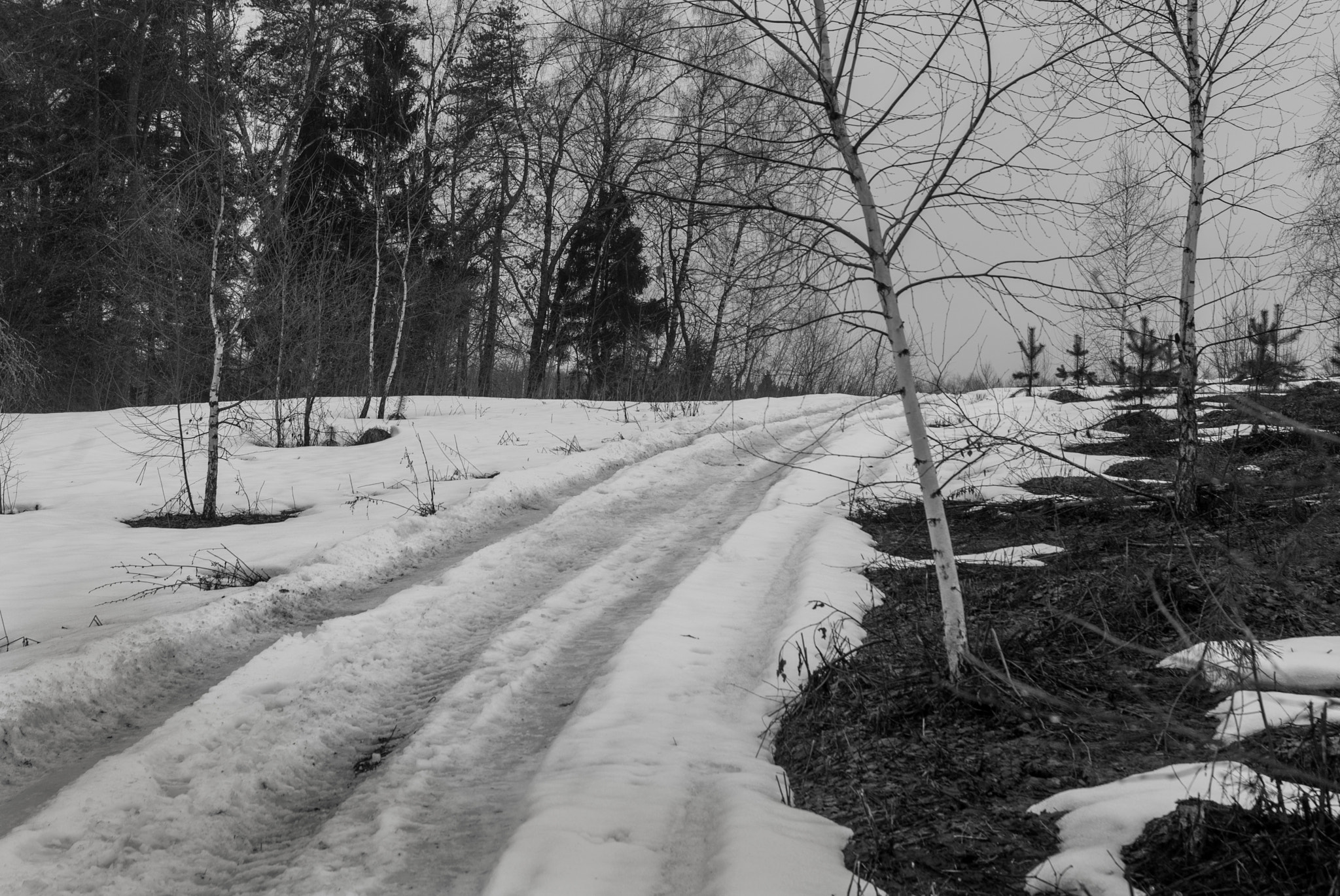 Nikon D200 sample photo. 2 апреля photography