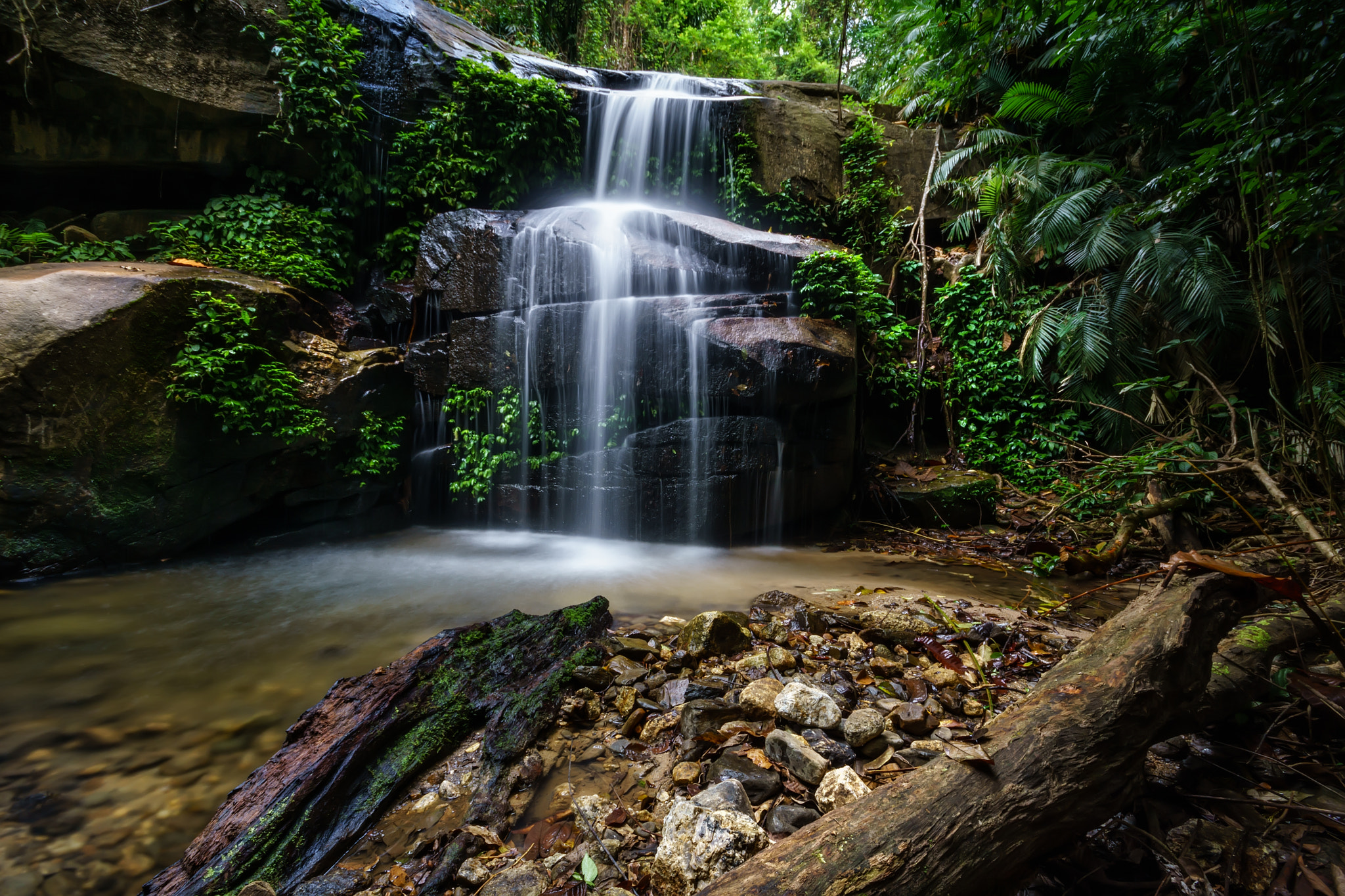 Sony a6000 sample photo. The lost nature ii photography