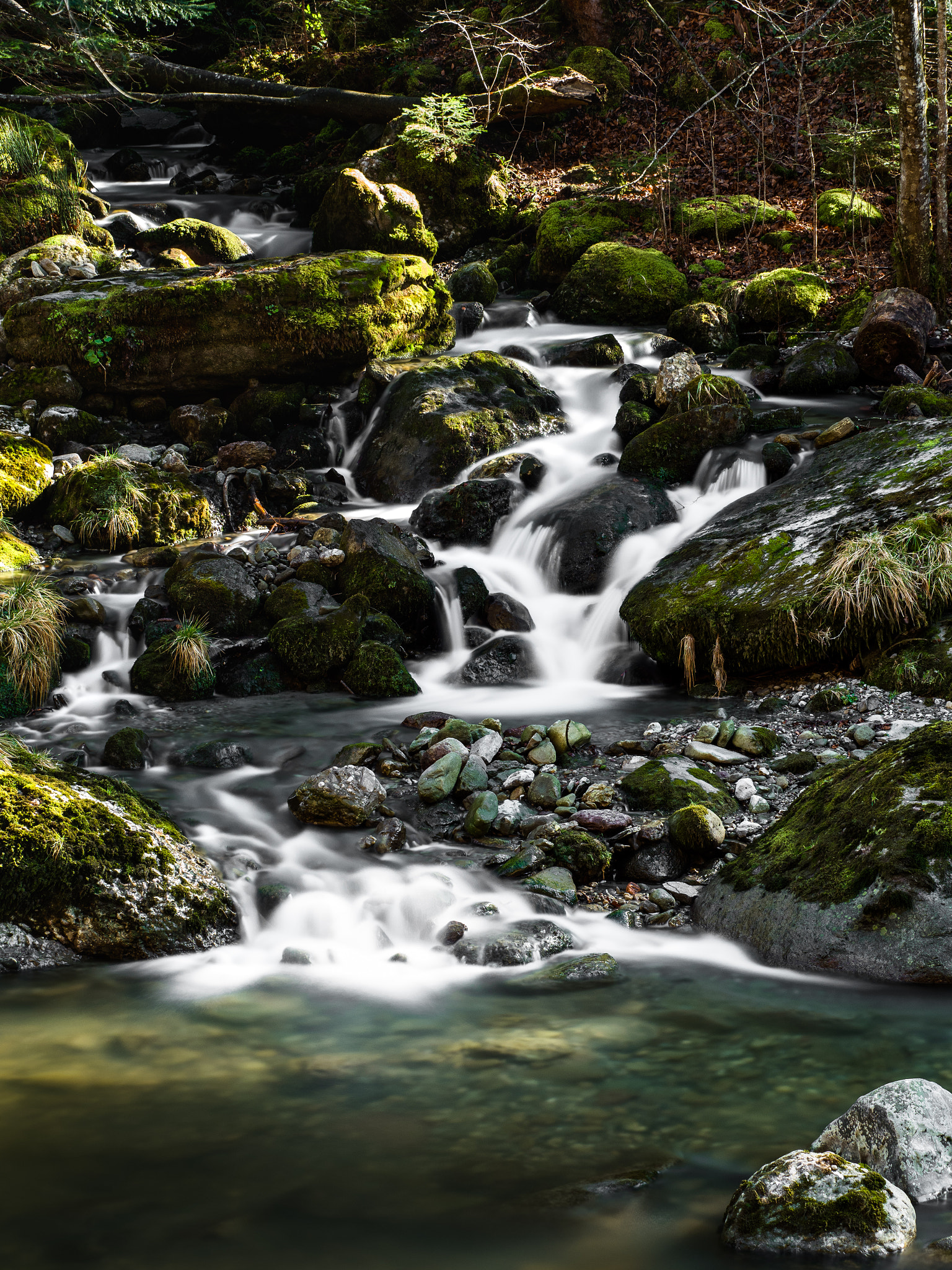 Olympus OM-D E-M1 Mark II + Olympus M.Zuiko Digital ED 40-150mm F2.8 Pro sample photo. Forest stream photography