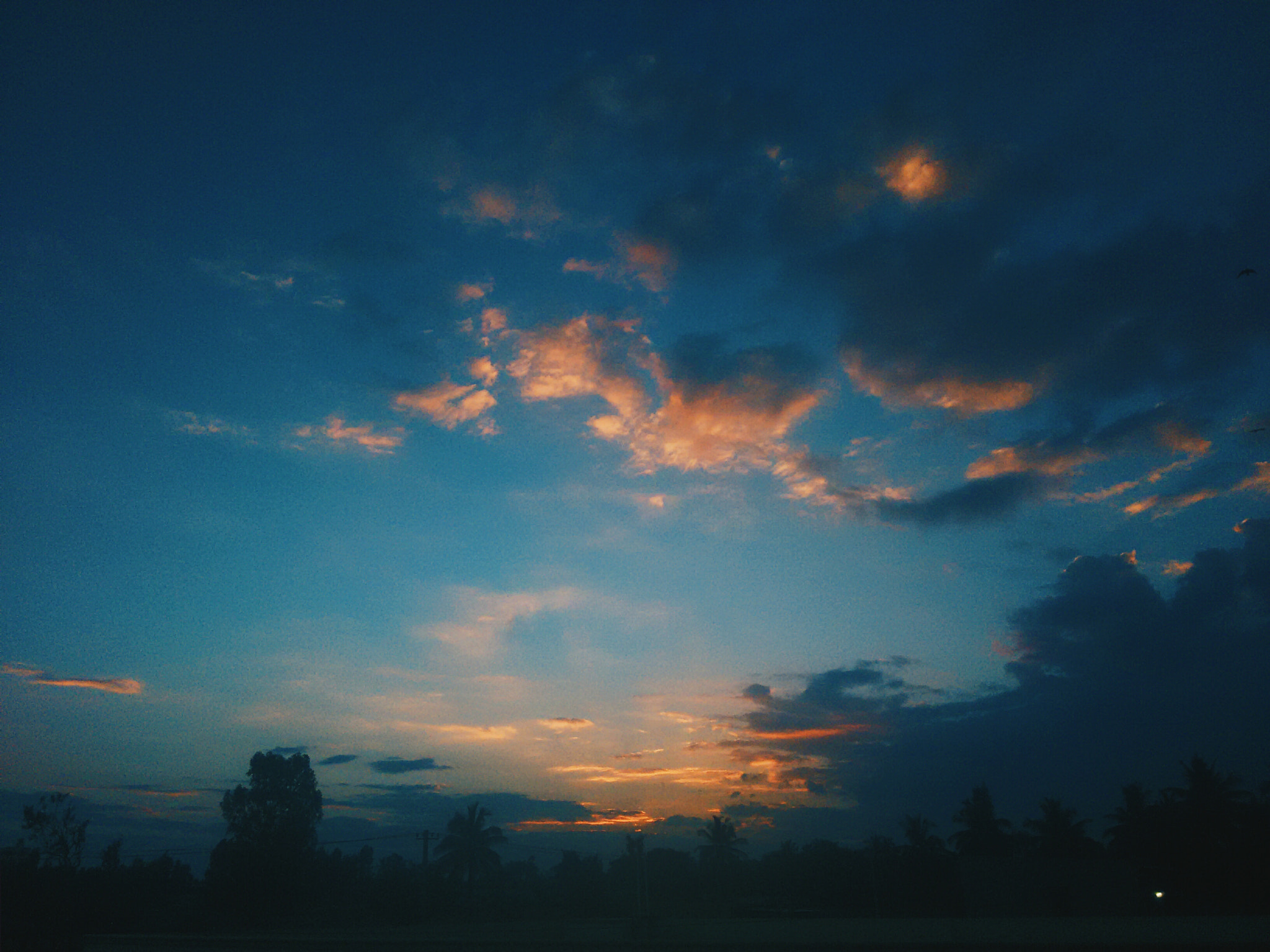 Motorola Moto G 2014 sample photo