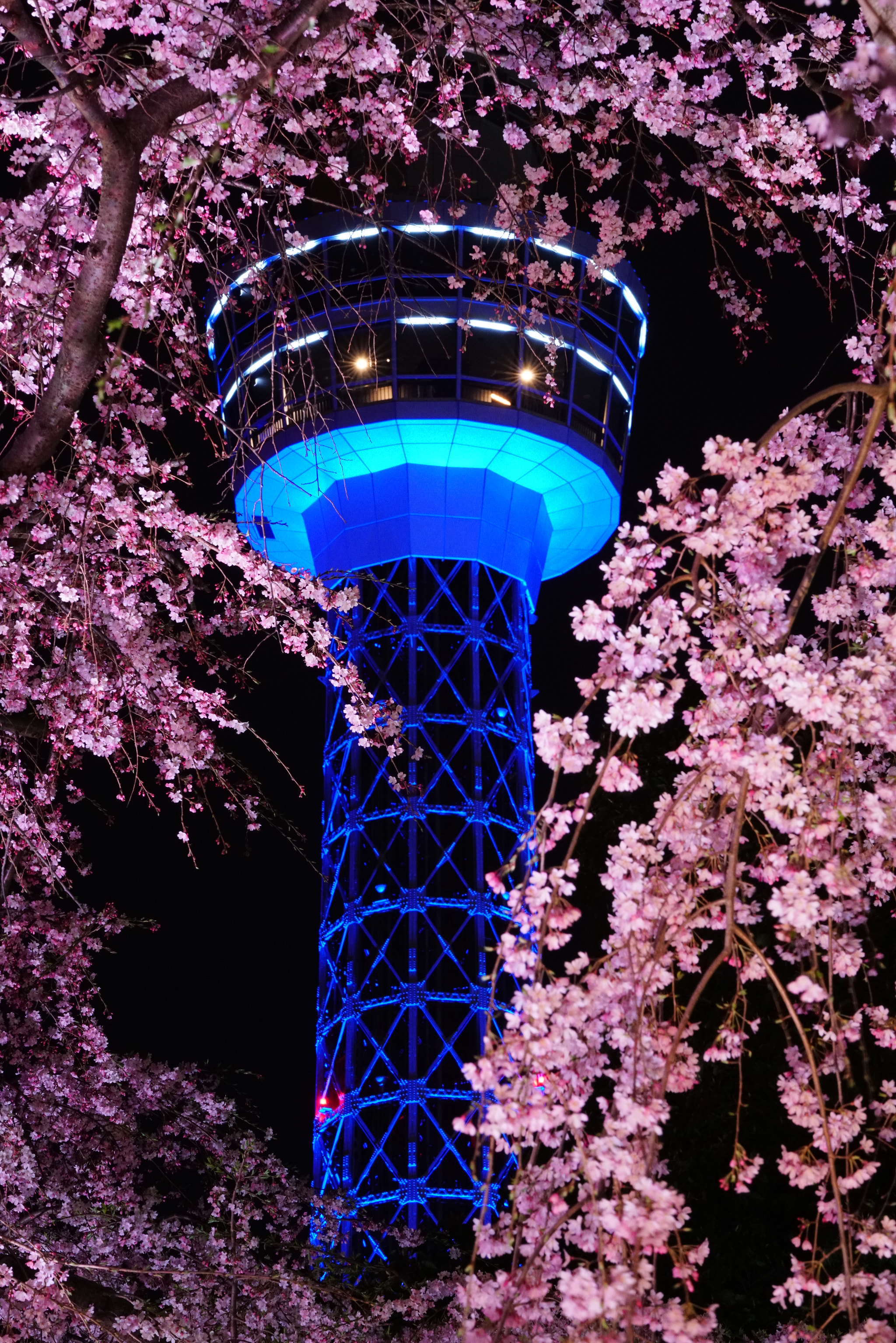 Sony a7R II sample photo. Yokohama marine tower & cherry blossom photography