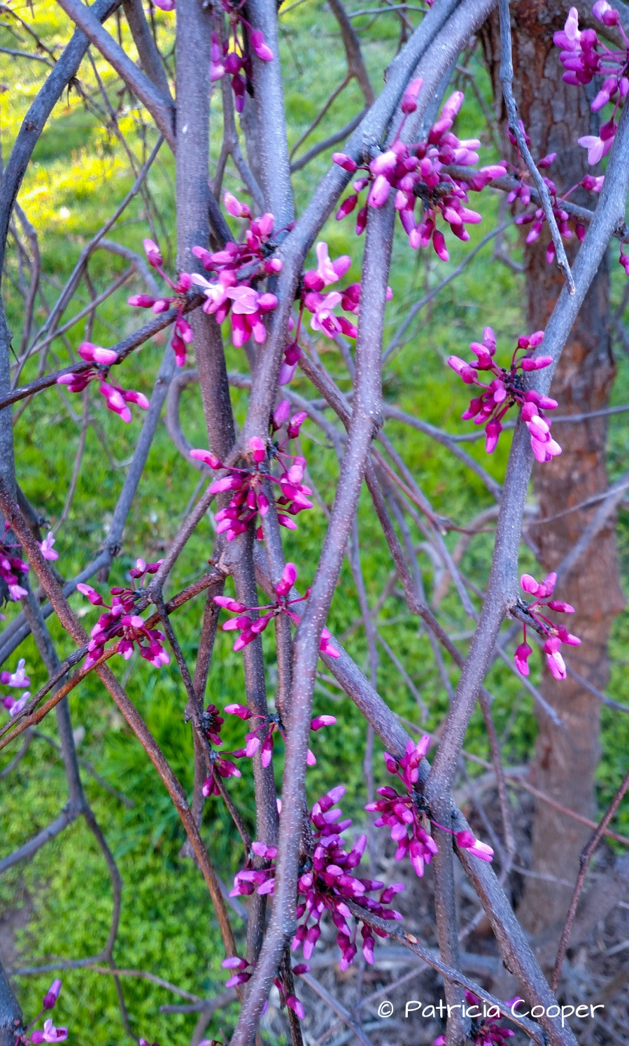 Motorola Droid Turbo sample photo. Untitled photography