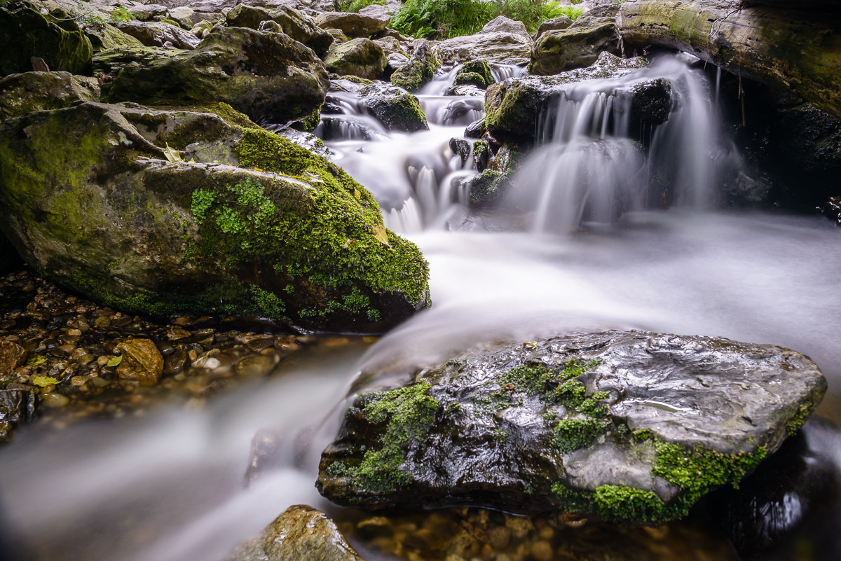 Nikon AF-S Nikkor 24mm F1.4G ED sample photo. Cascades on river dargle photography