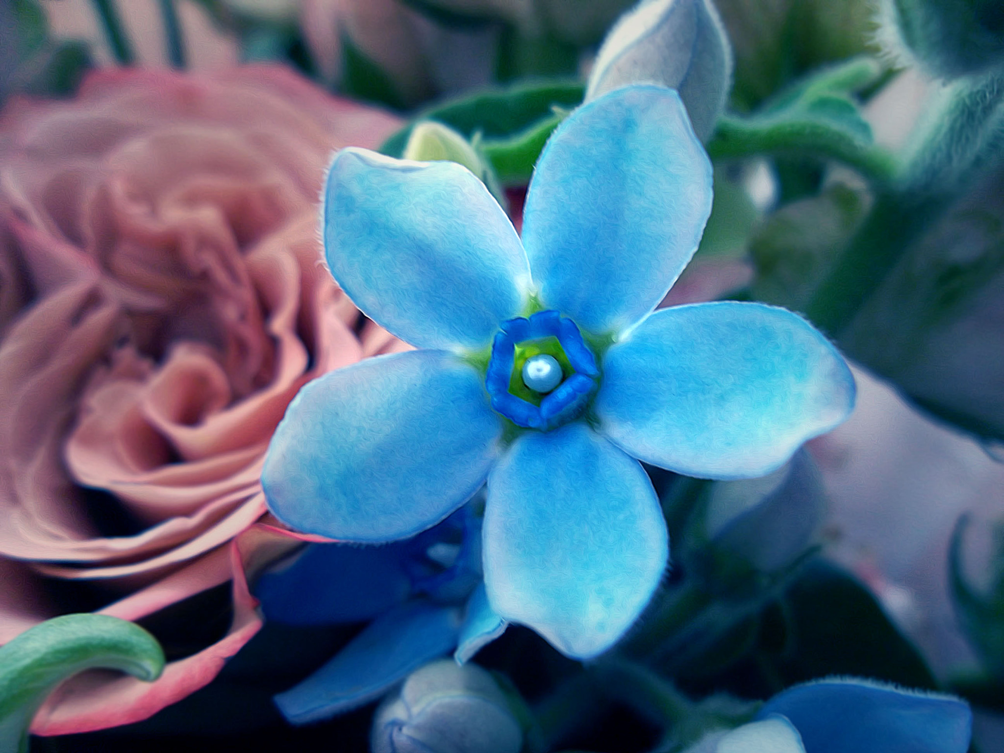 Samsung ST65 sample photo