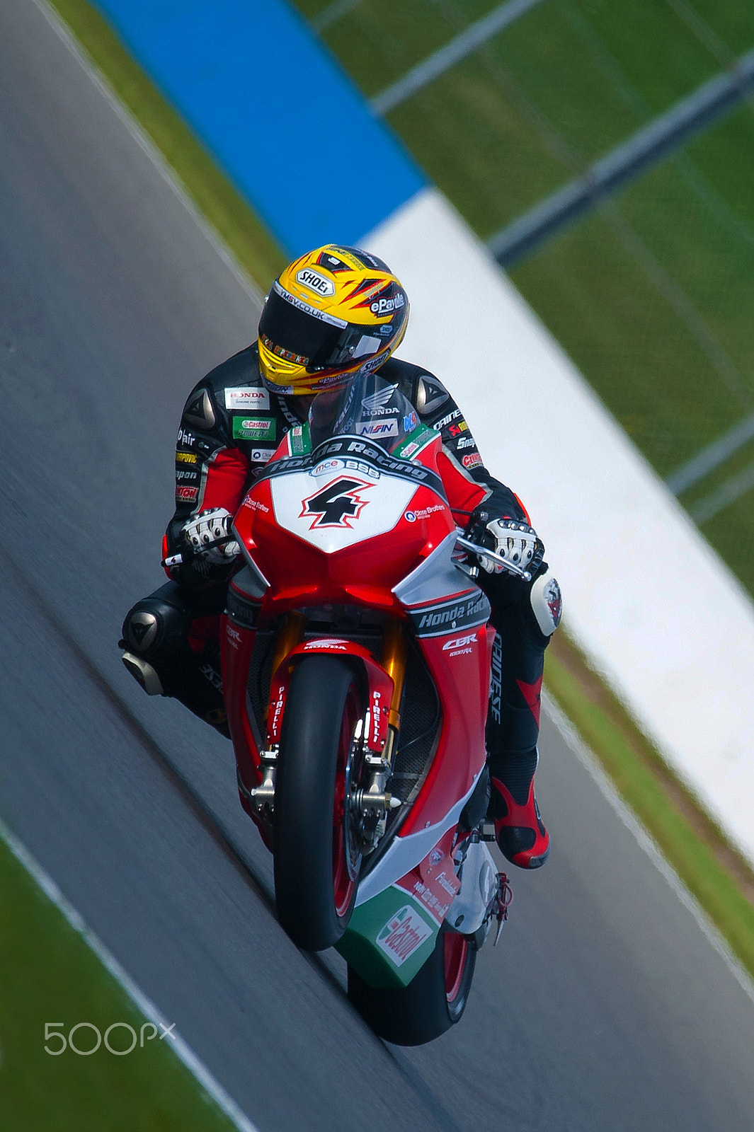Sigma 150-600mm F5-6.3 DG OS HSM | S sample photo. Dan linfoot photography