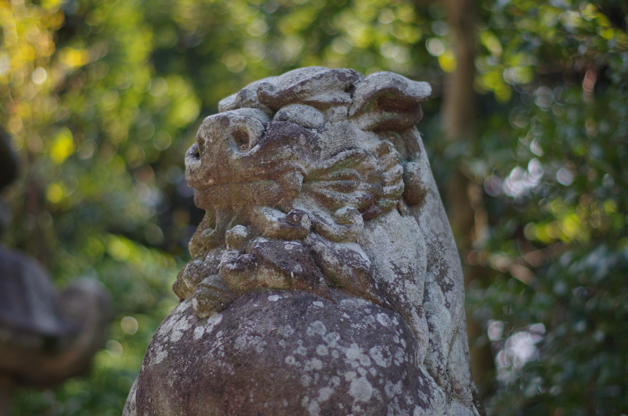 Pentax K-30 + Pentax smc DA 50mm F1.8 sample photo. Guardian in sai photography