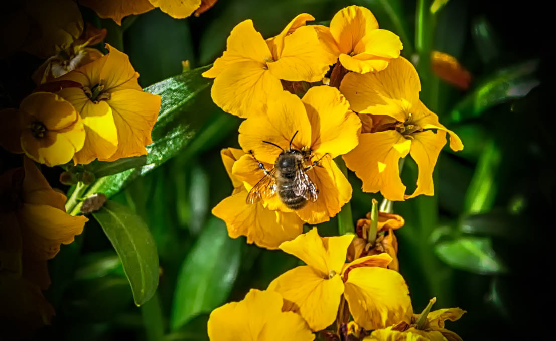 Nikon D7100 + Nikon PC-E Nikkor 24mm F3.5D ED Tilt-Shift sample photo. Spring photography