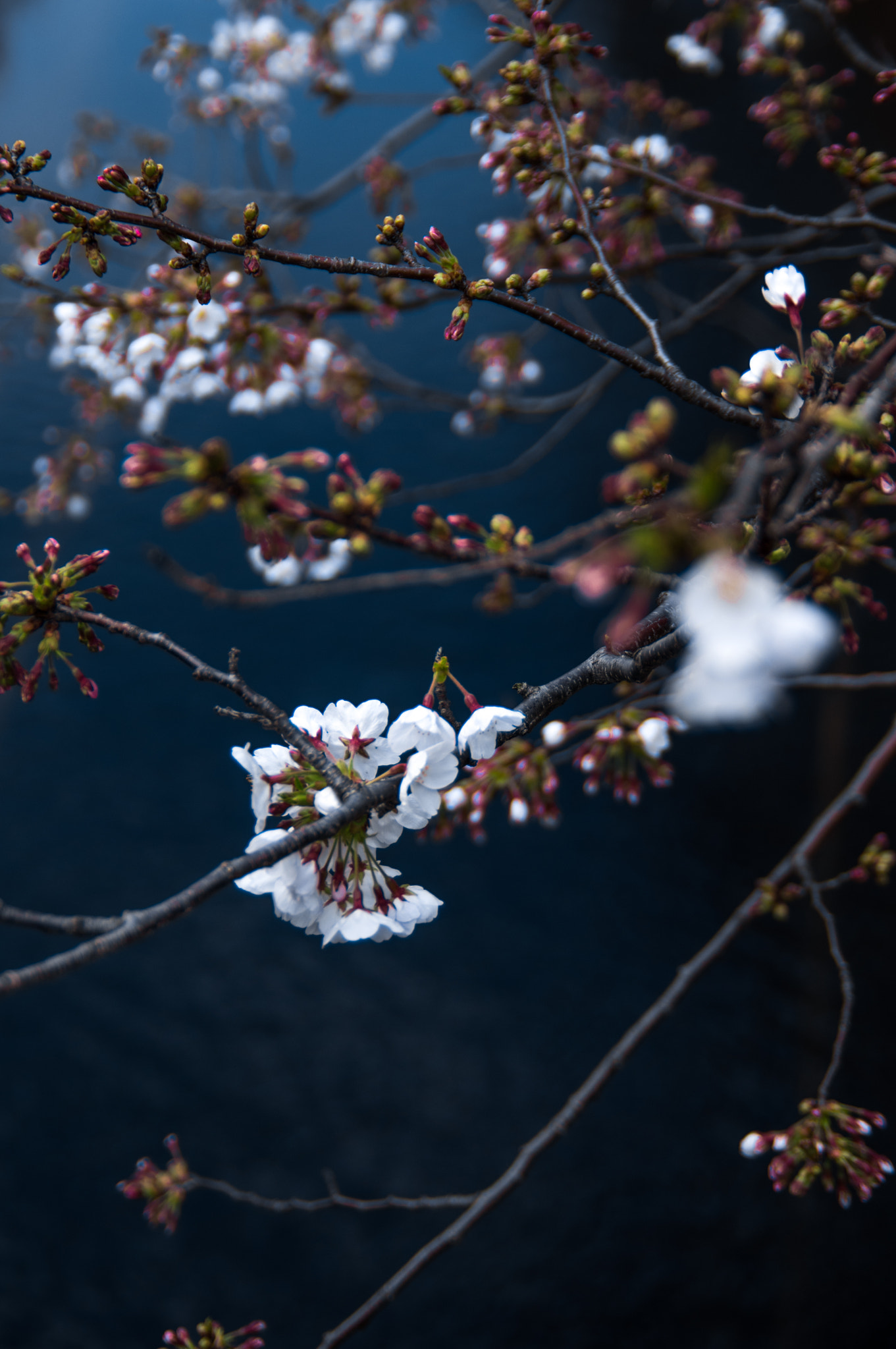 Pentax smc DA* 16-50mm F2.8 ED AL (IF) SDM sample photo. 41 photography
