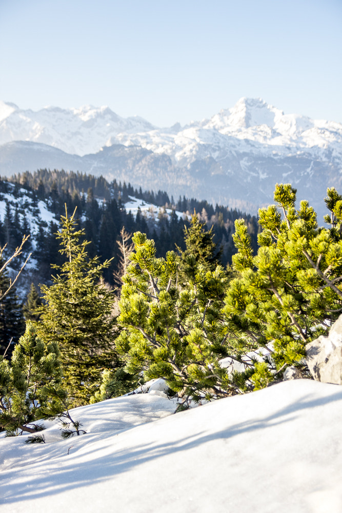 Canon EF-S 17-55mm F2.8 IS USM sample photo. Kamniške alpe / kamnik alps photography