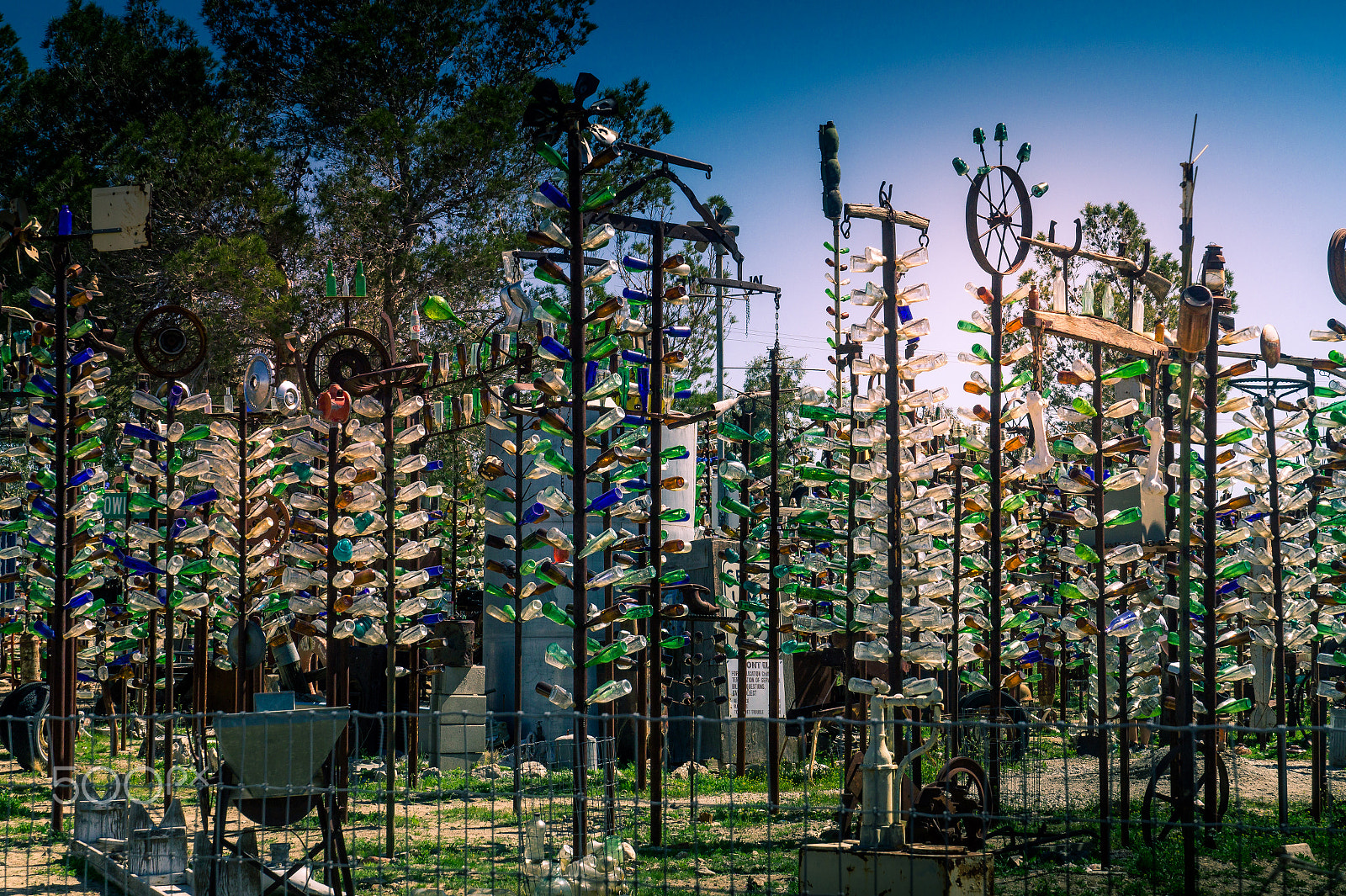 Sony SLT-A58 + Sony DT 16-50mm F2.8 SSM sample photo. Elmer's bottle tree ranch photography