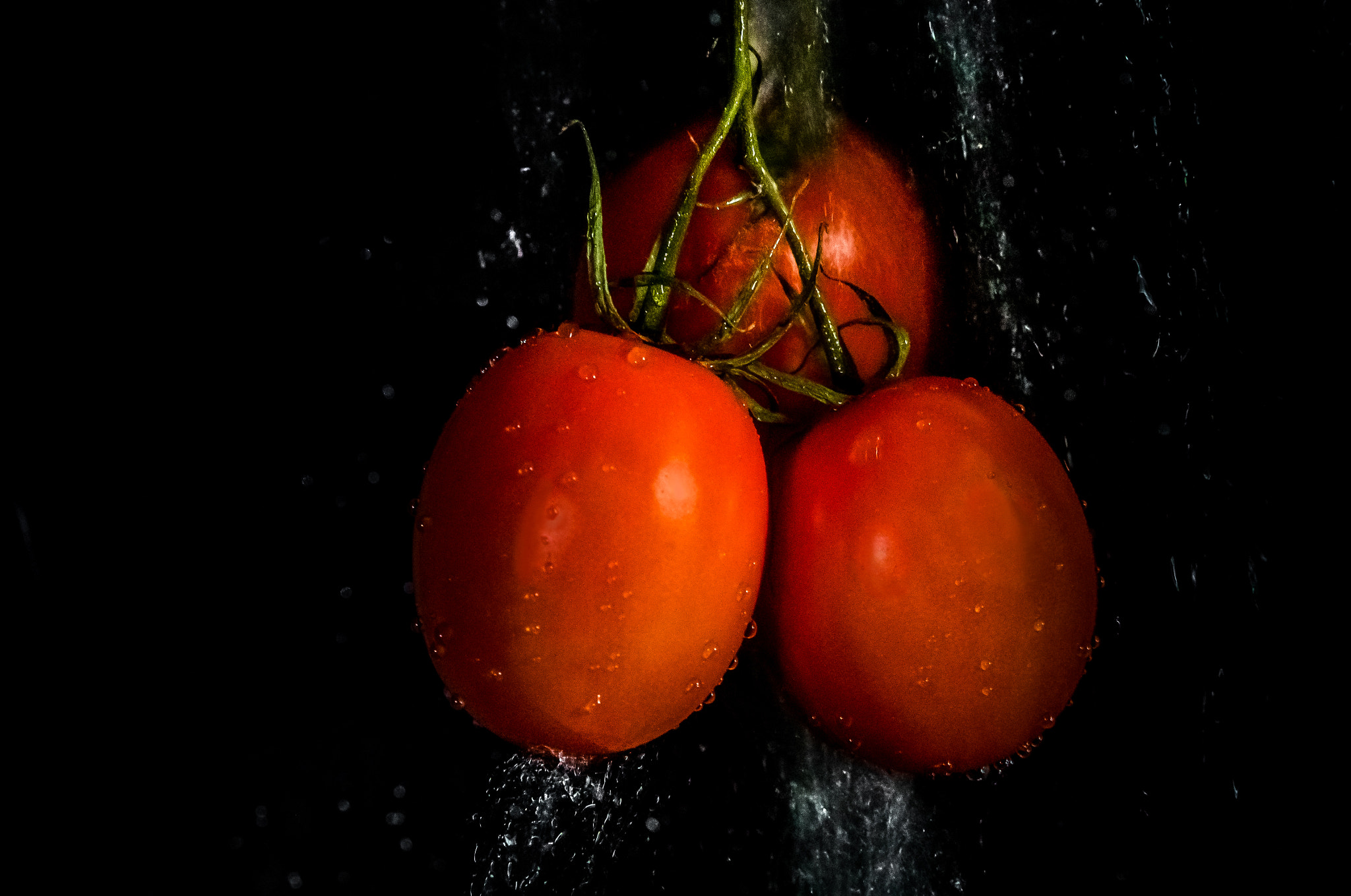 Canon EF 24-70mm F2.8L II USM sample photo. Taomato - tomato photography