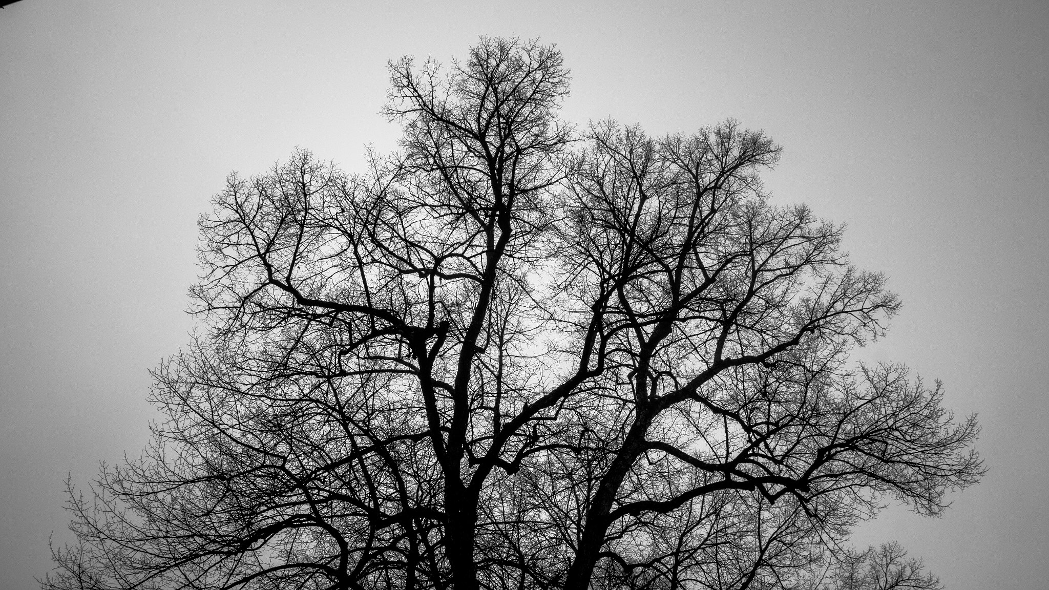 Canon EOS 650D (EOS Rebel T4i / EOS Kiss X6i) sample photo. Preparing for spring photography
