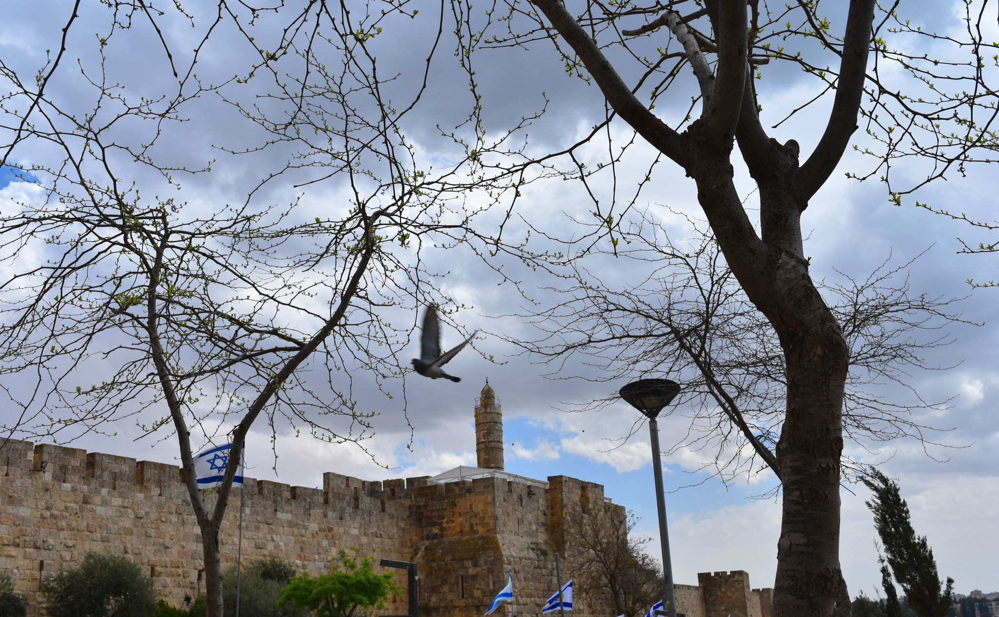 Nikon D3400 sample photo. Fly over jerusalem photography