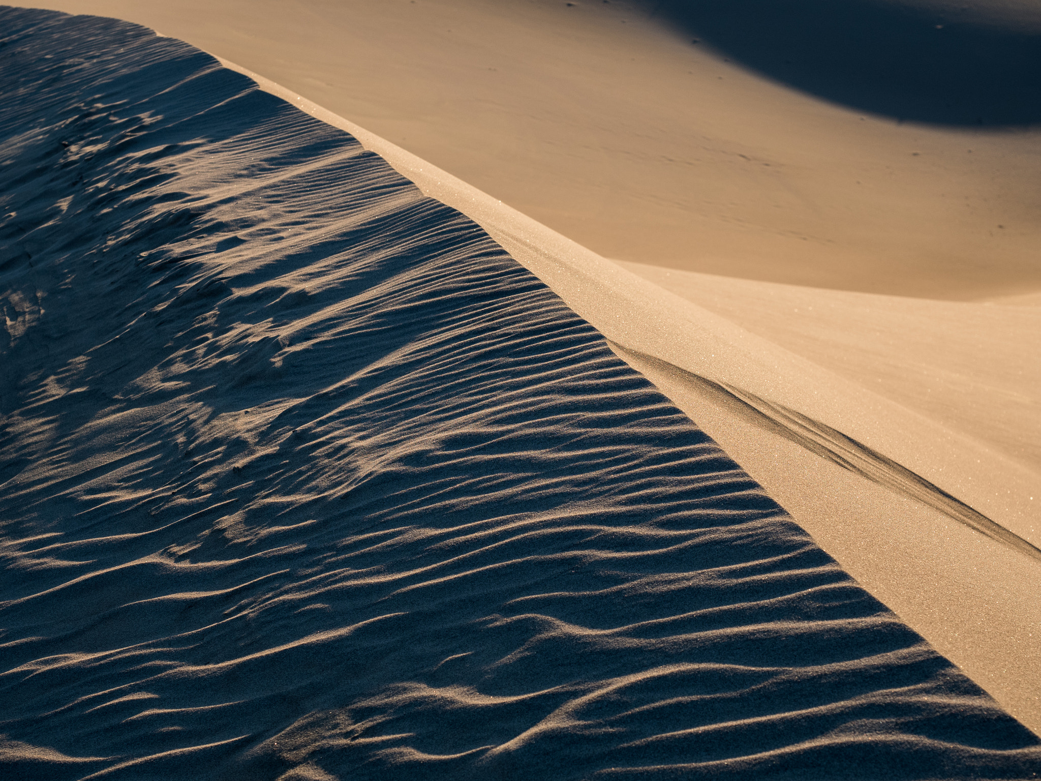 Olympus OM-D E-M5 II + Olympus M.Zuiko Digital ED 12-40mm F2.8 Pro sample photo. Sand patterns #1 photography