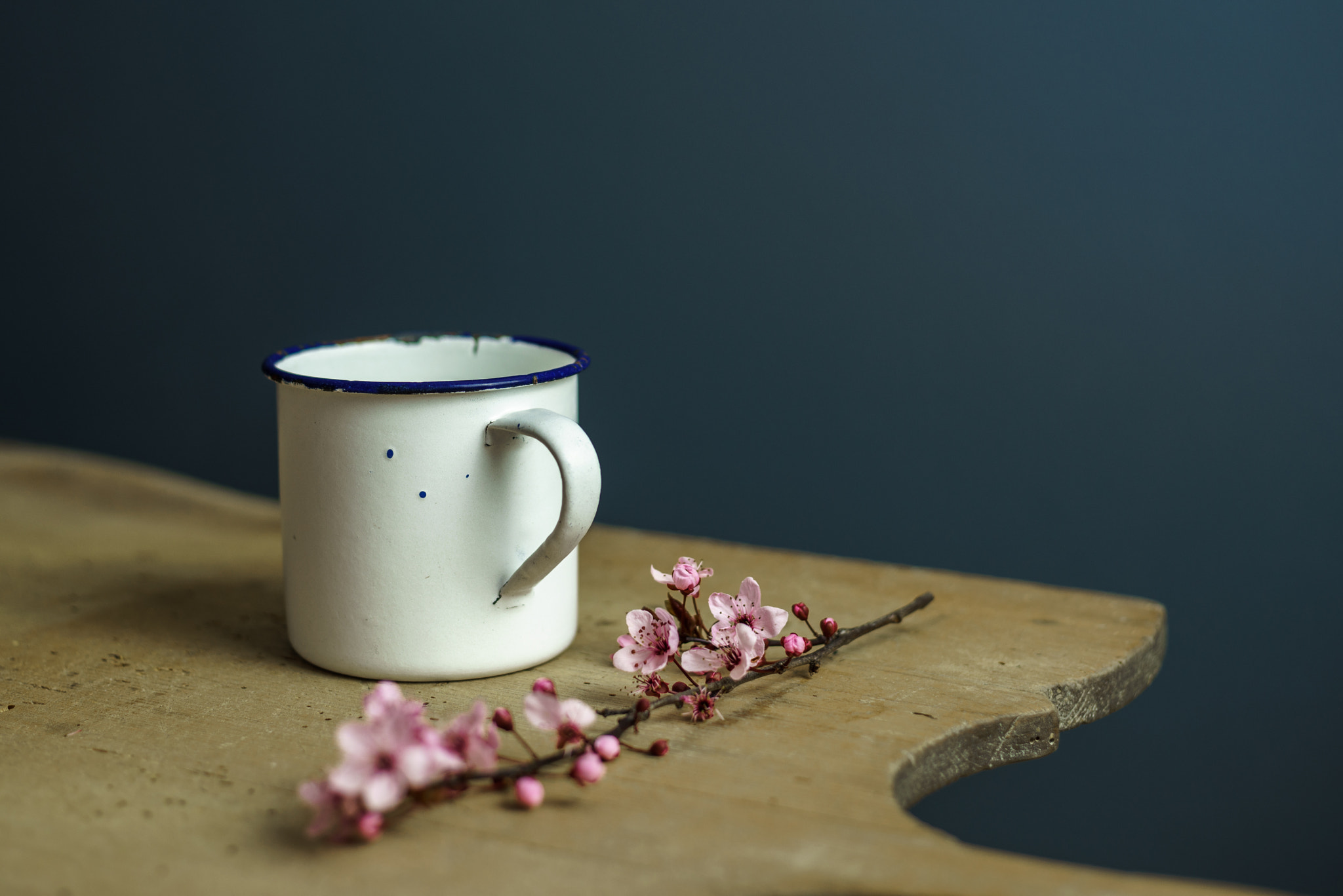 Sony a7R + Sony DT 50mm F1.8 SAM sample photo. Spring is everywhere photography