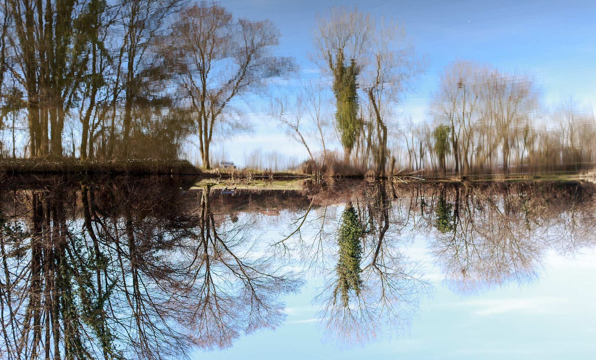 Canon EF 50mm F1.2L USM sample photo. El mundo de otra perspectiva photography