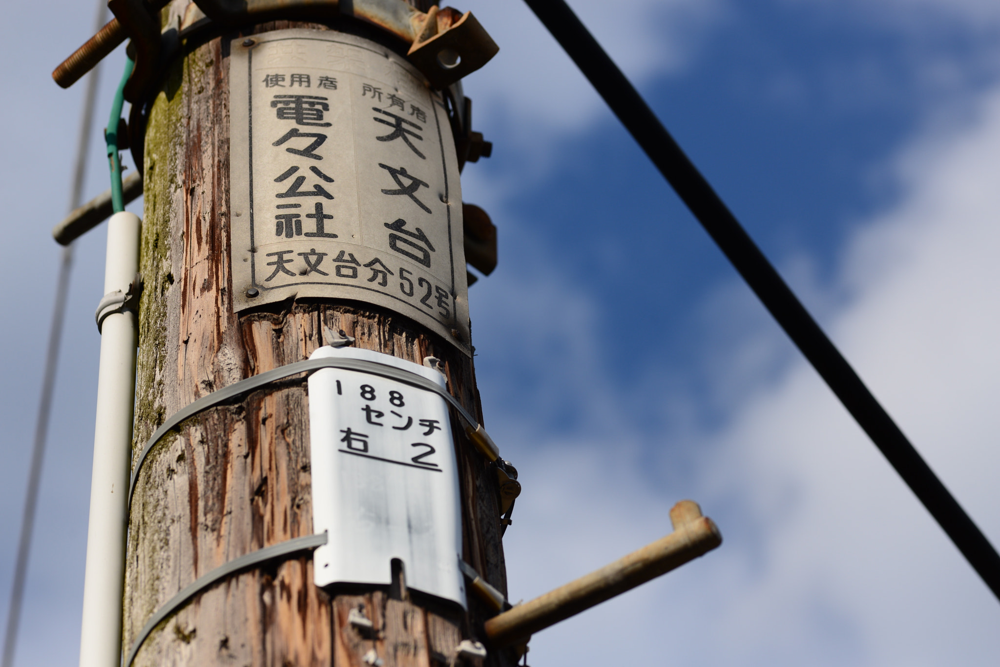ZEISS Makro-Planar T* 100mm F2 sample photo. 029.jpg photography