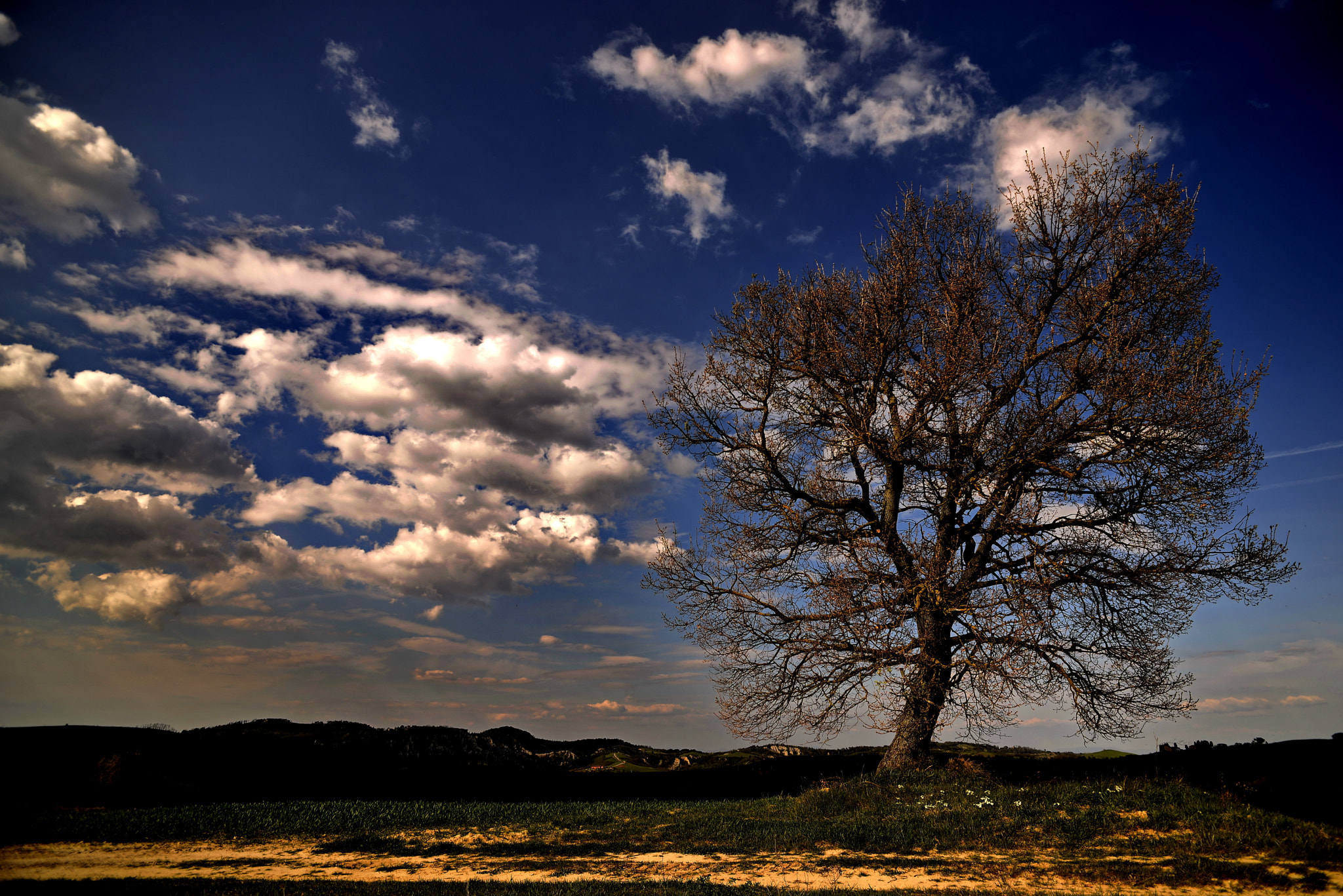 AF Nikkor 20mm f/2.8 sample photo. Fugitive photography